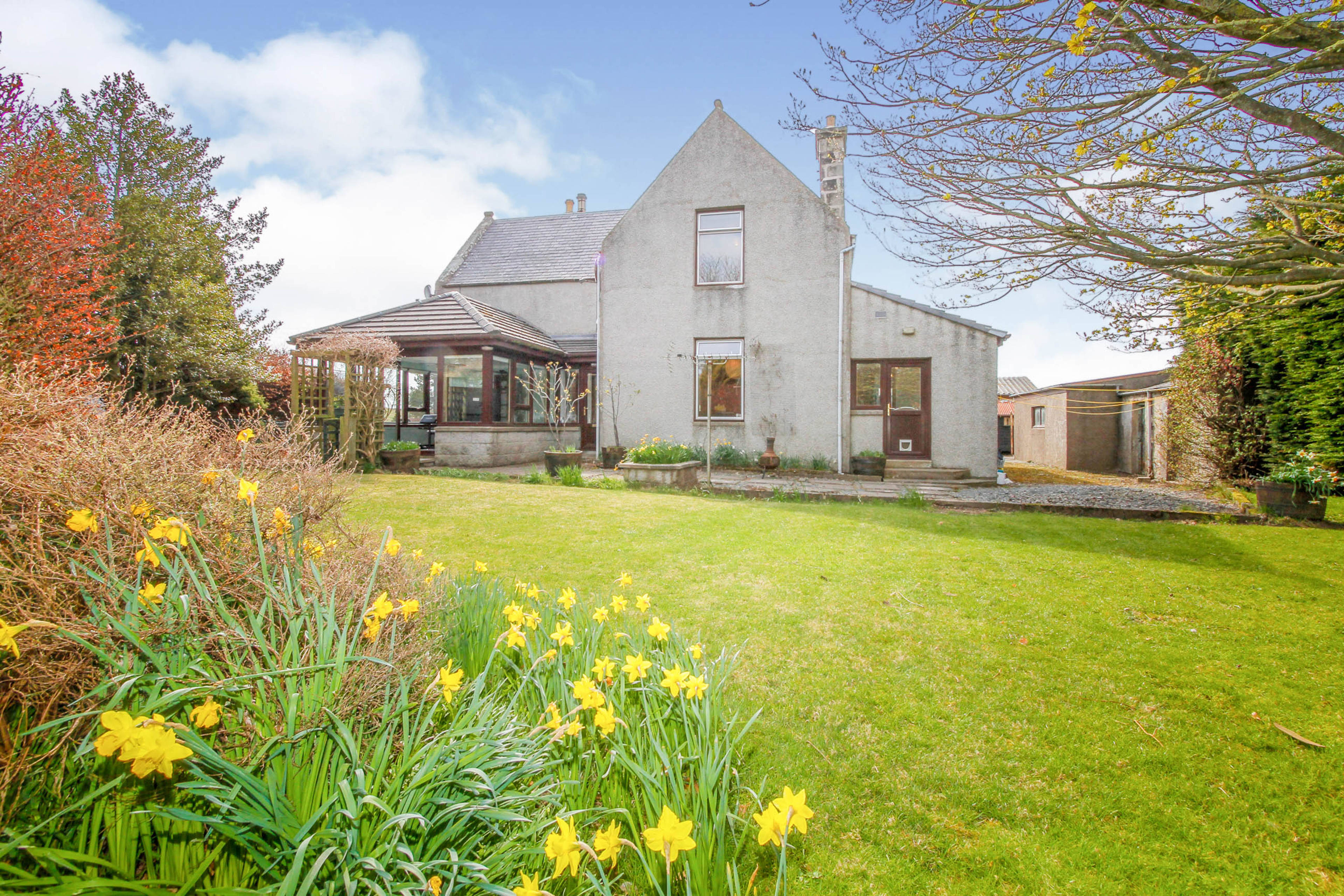 Front view