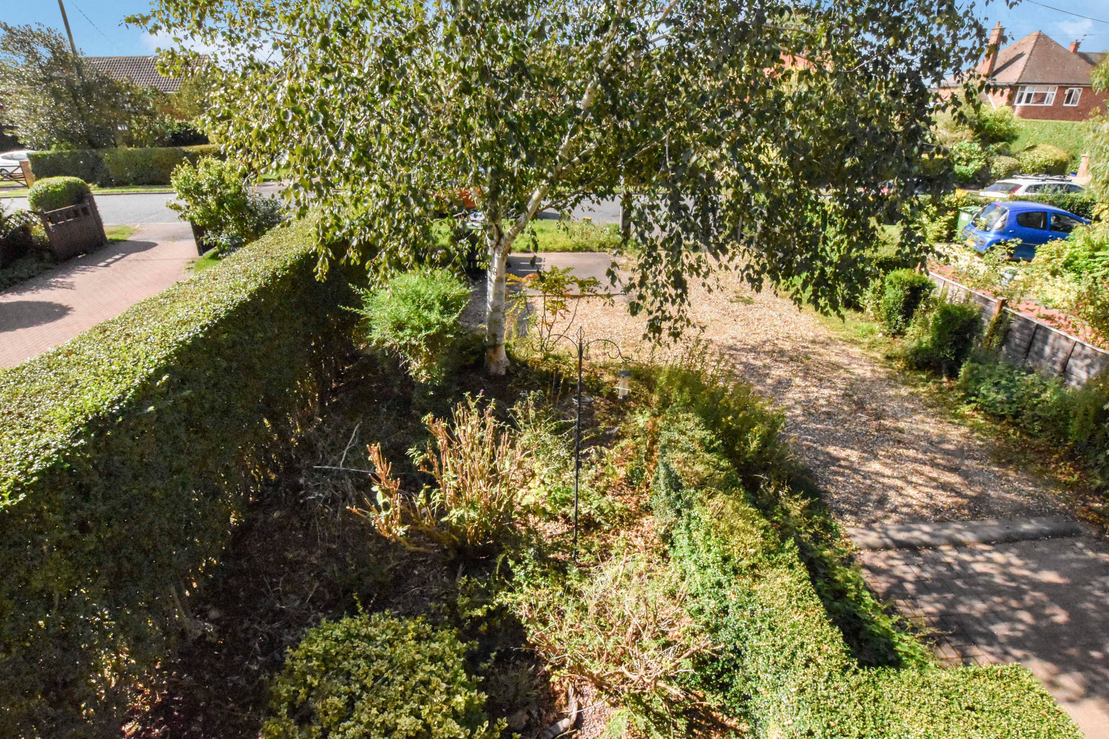 Front Garden