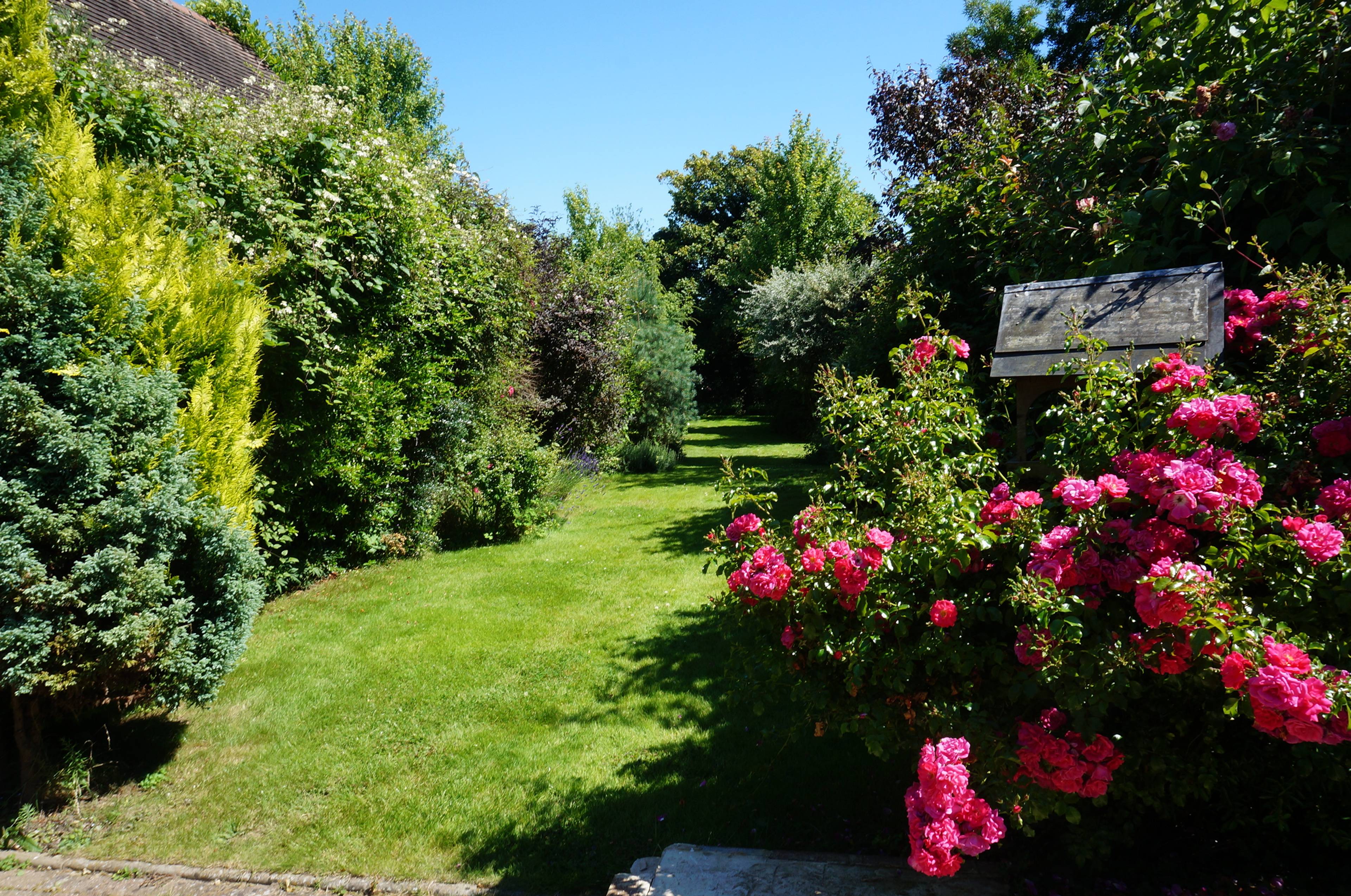 Mature Garden