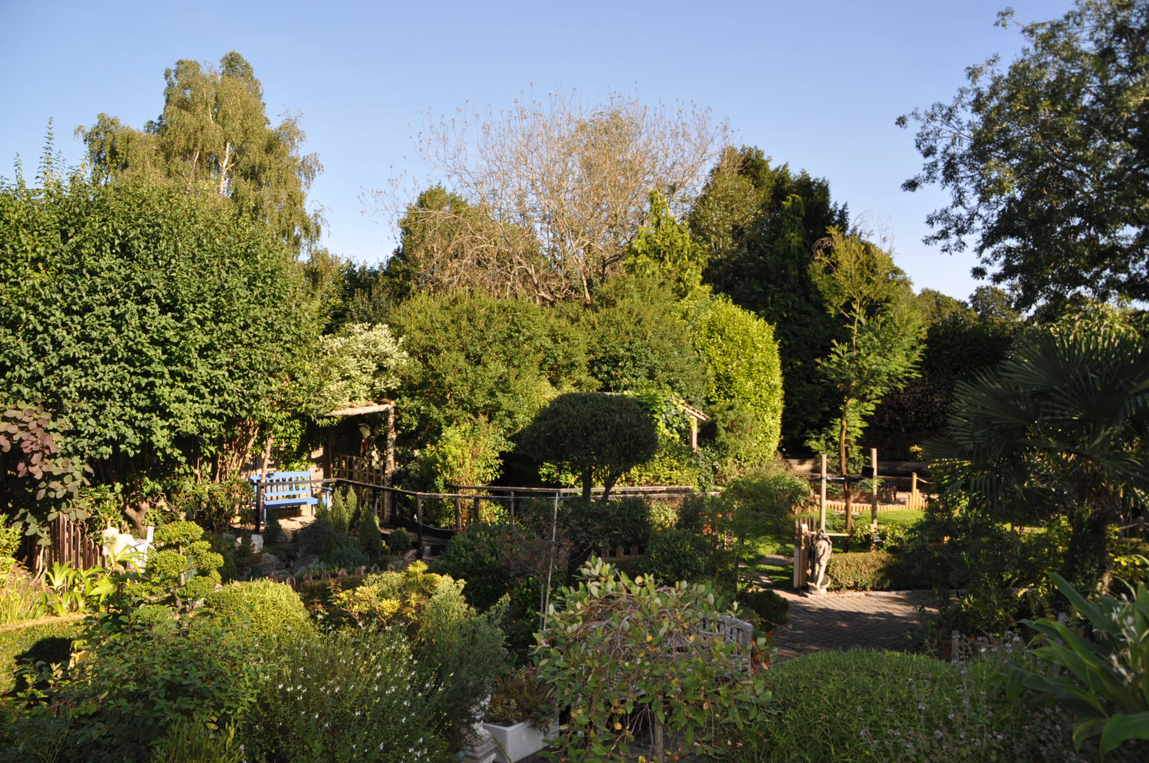 garden
