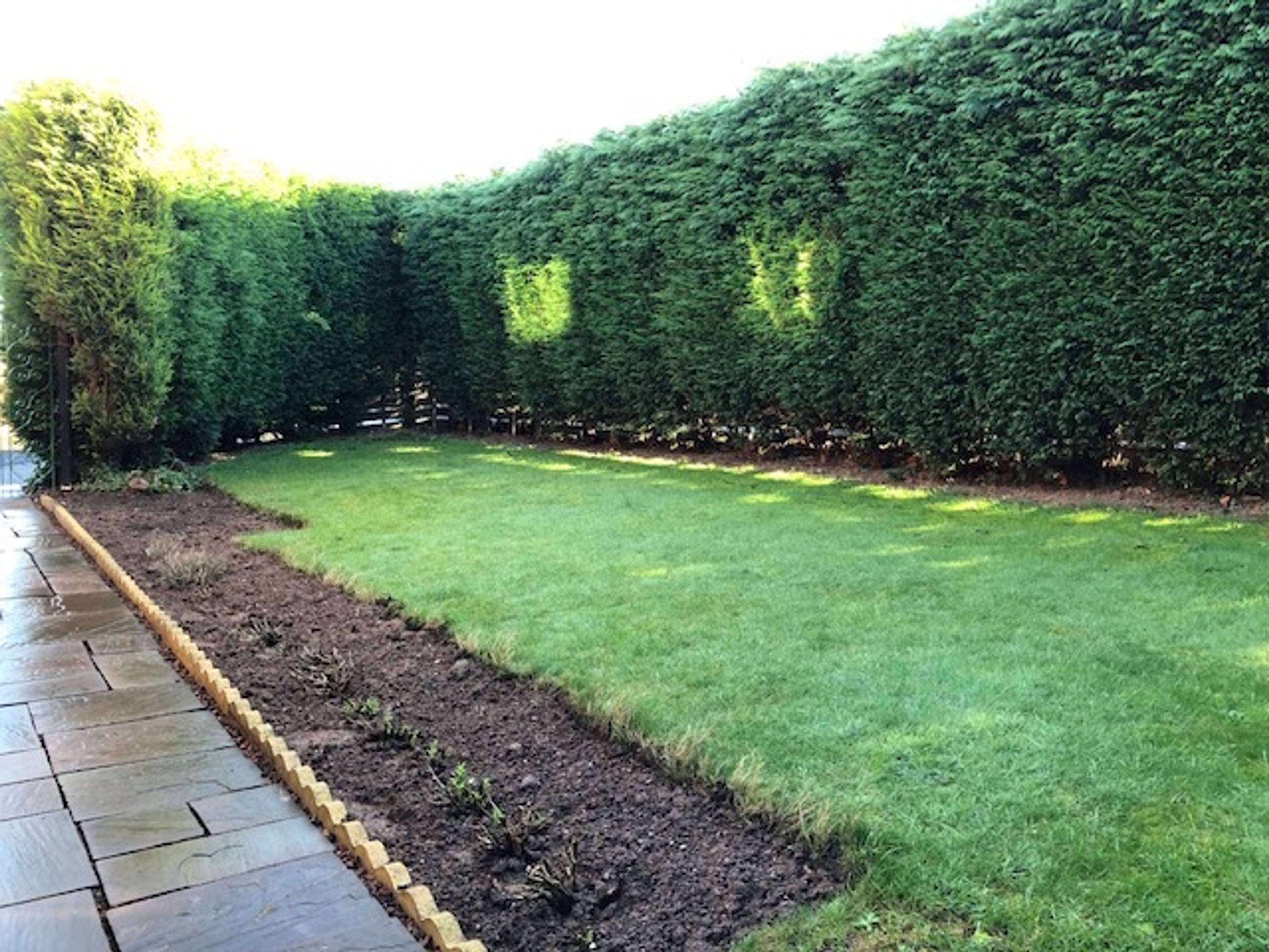 Front Garden