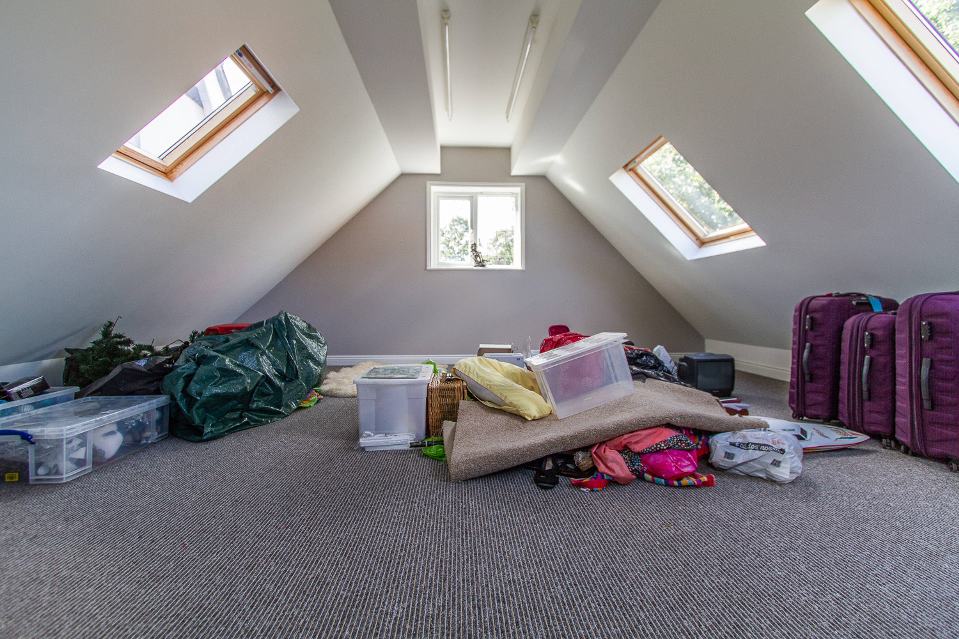 Hobby Room