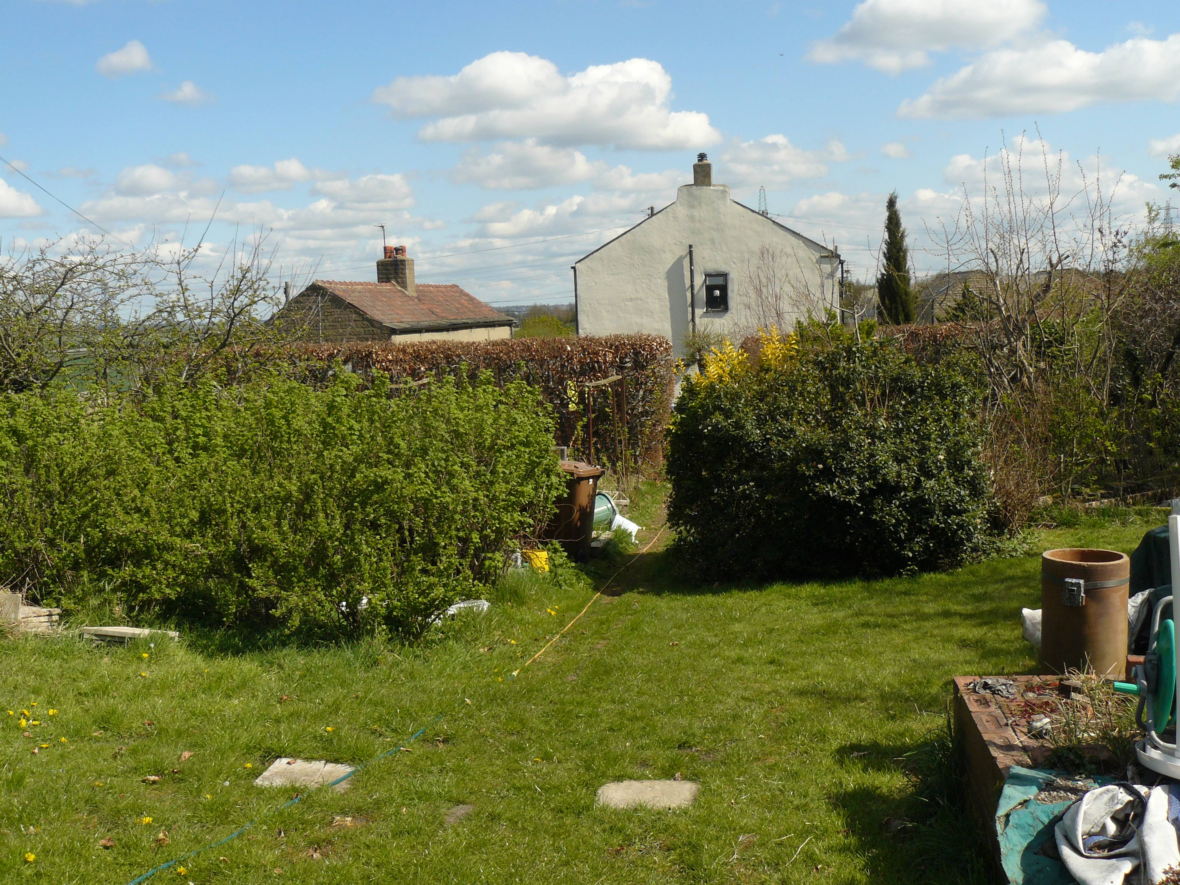 Side Garden