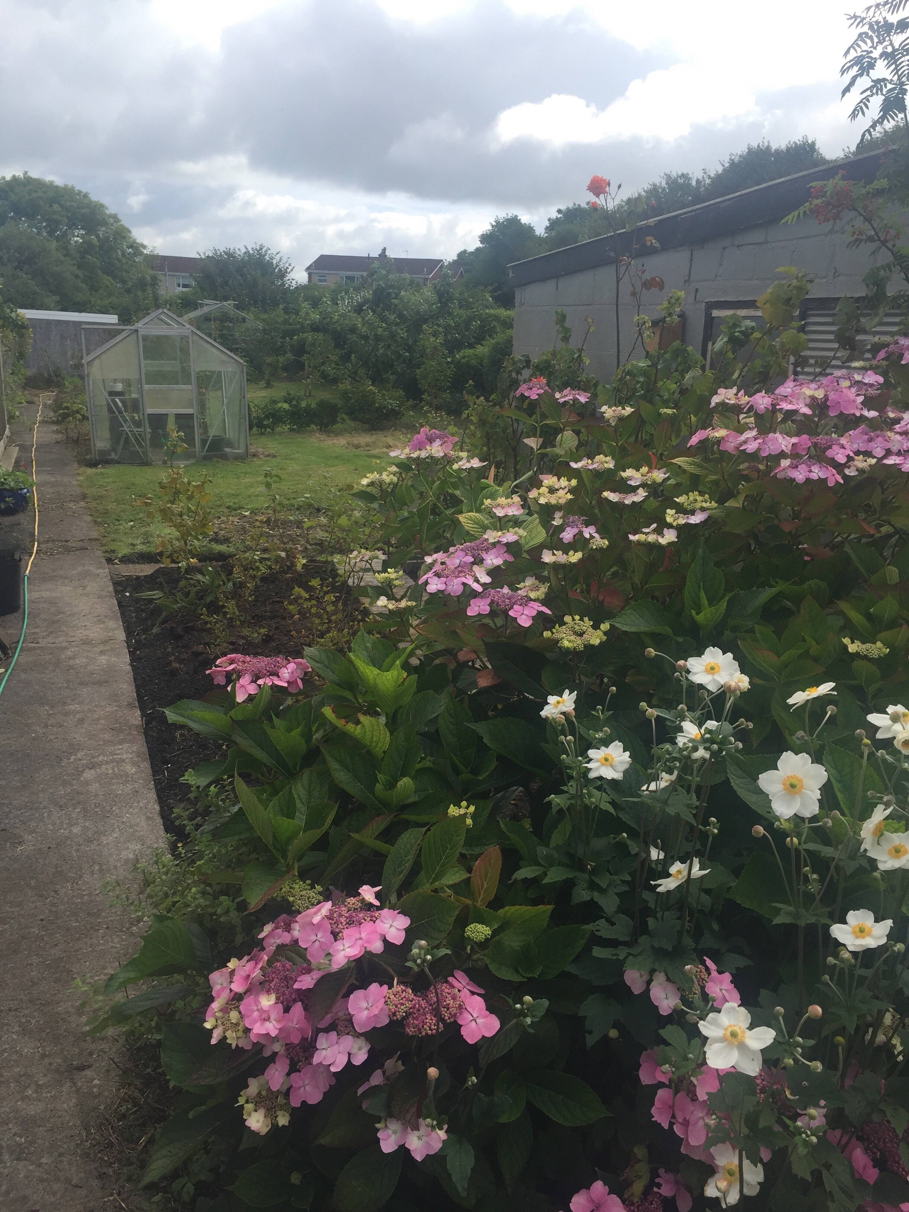 Large Garden