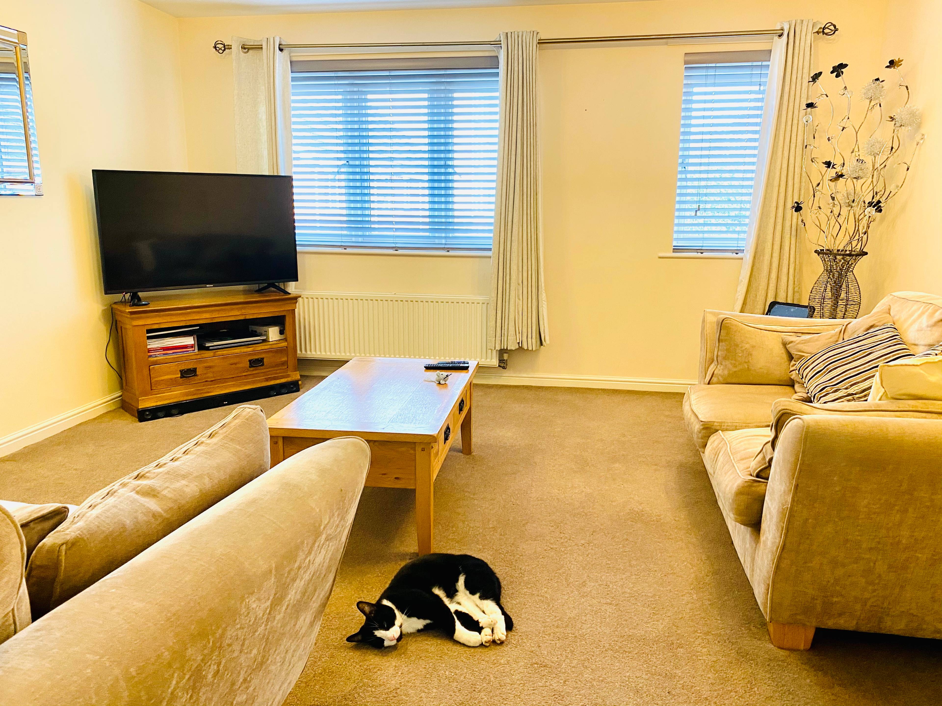 Living / Dining Room