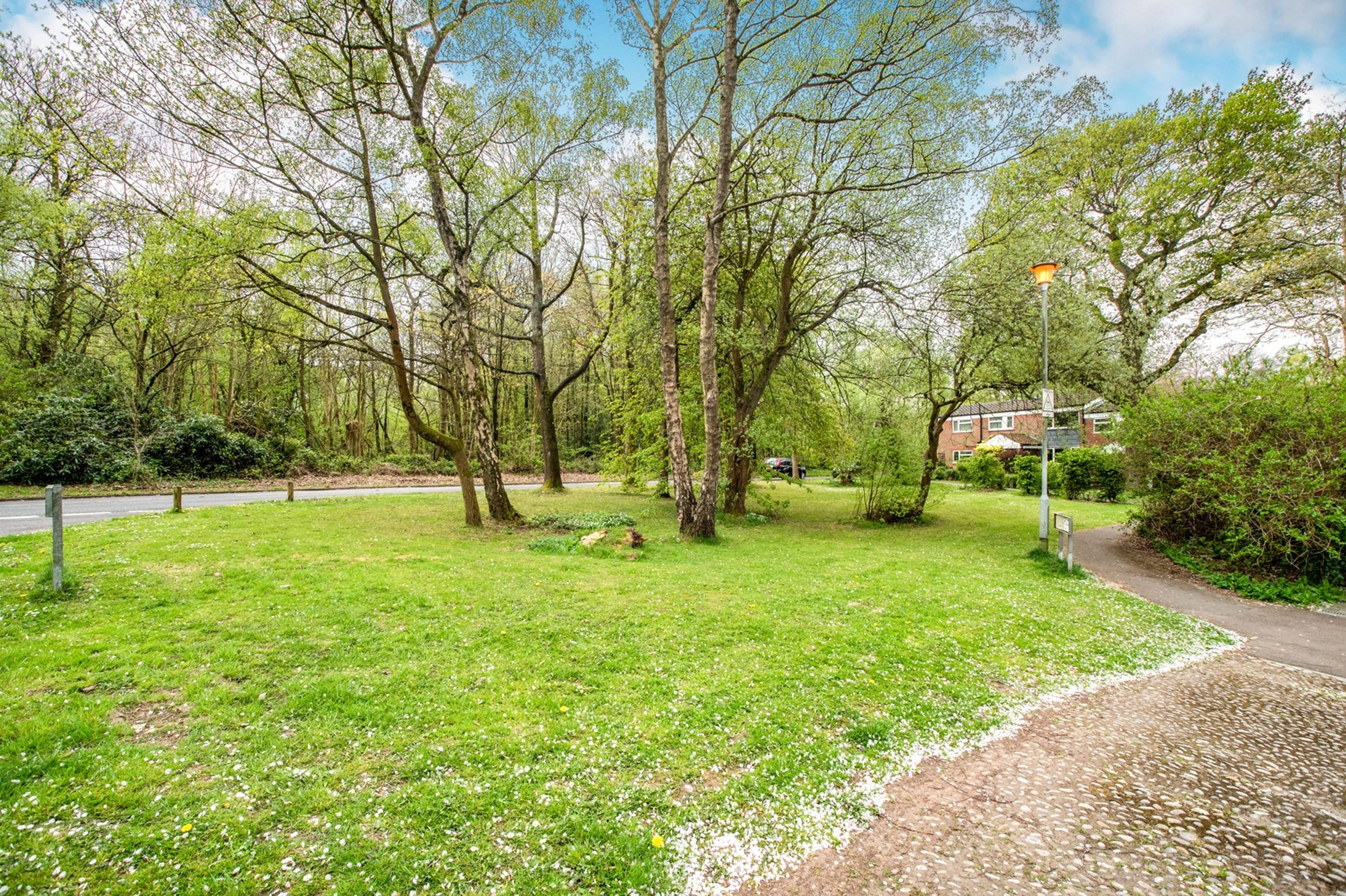 Surrounding Area