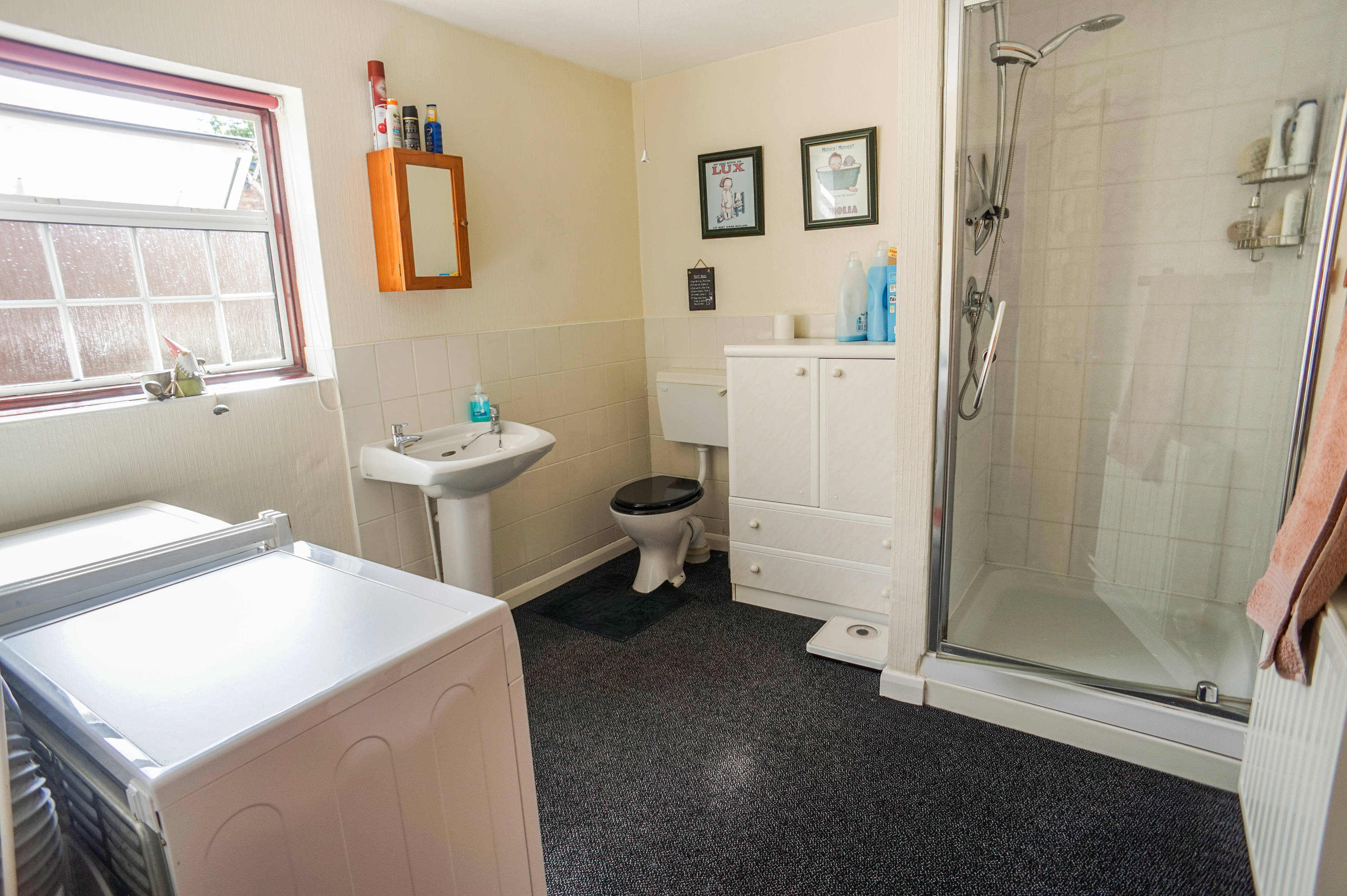 Downstairs Shower