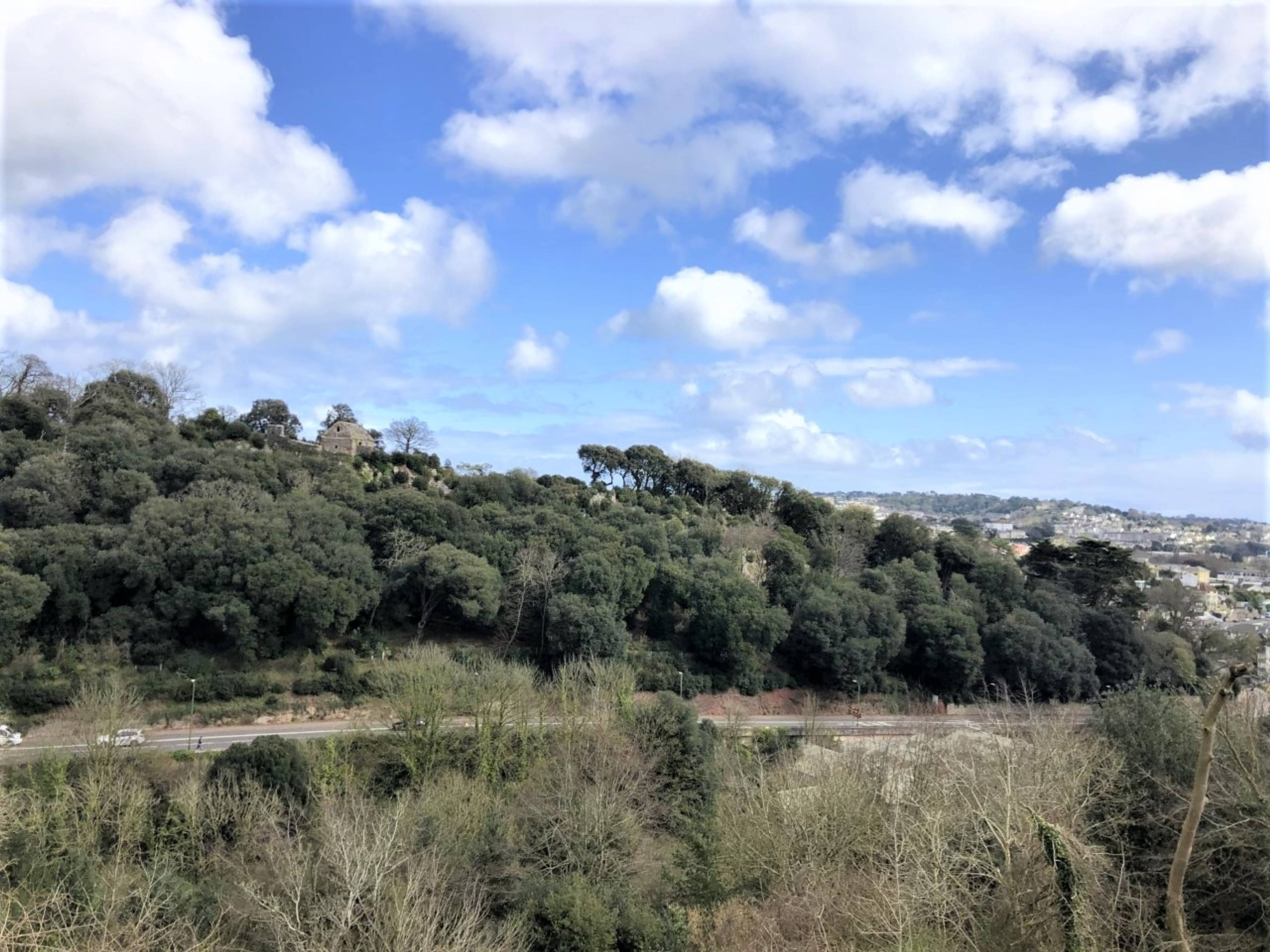 View