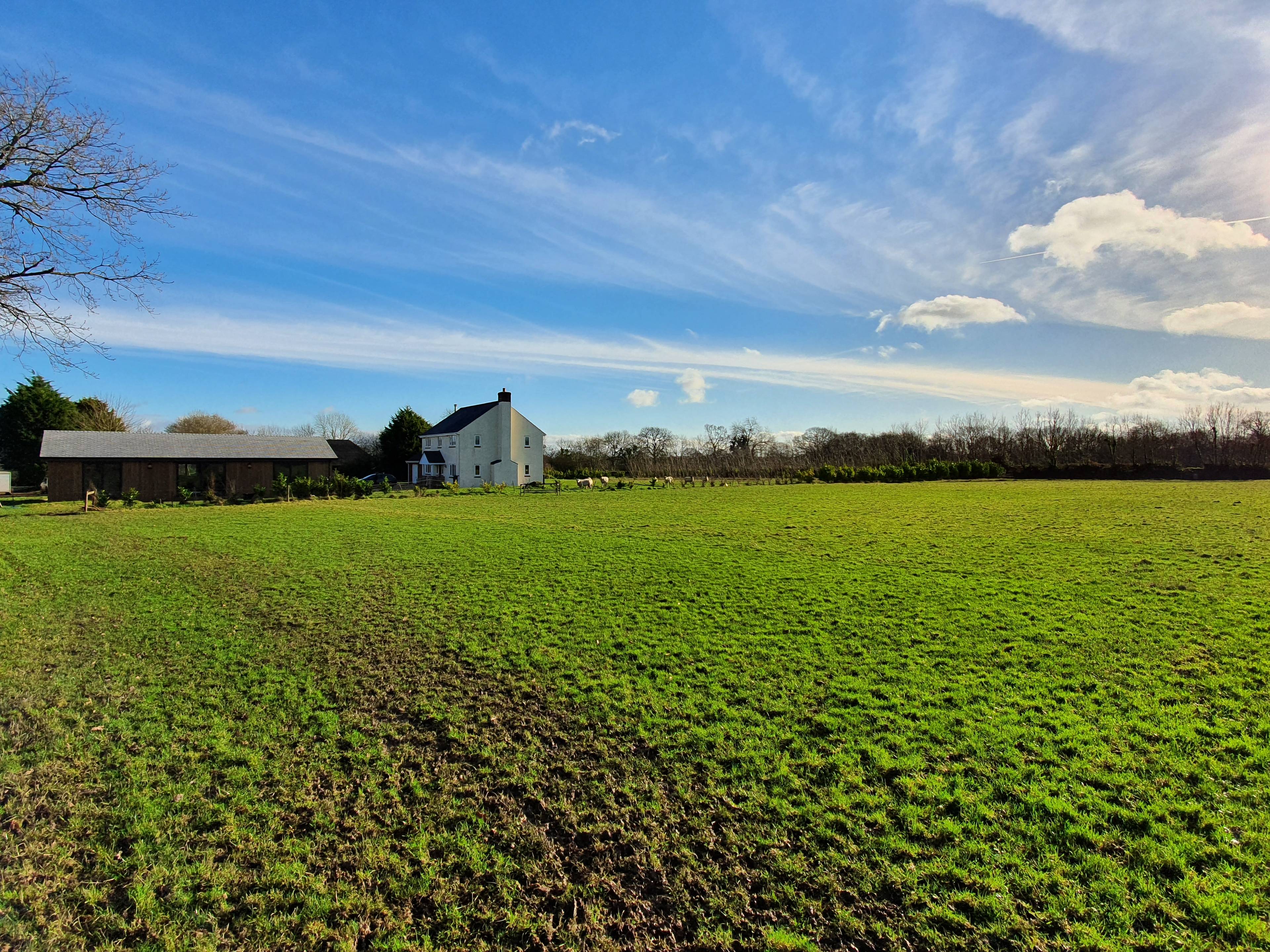 View Of The Property