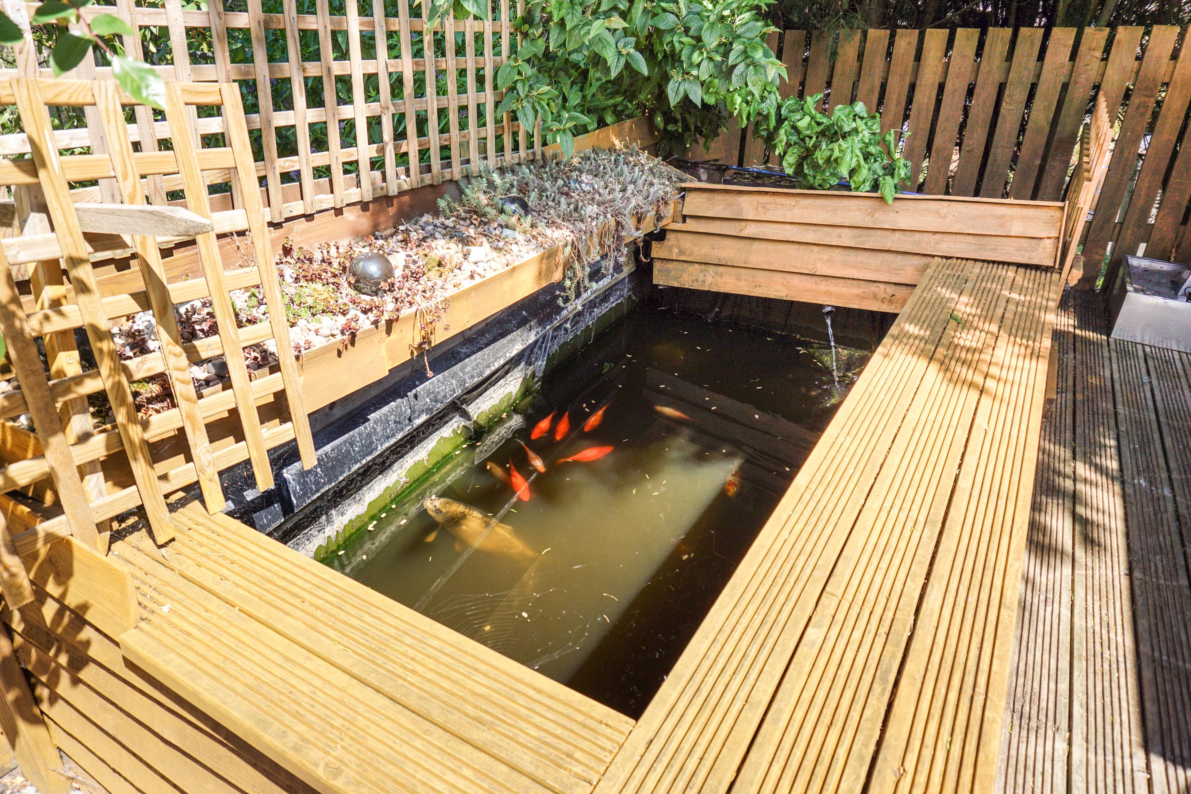 Pond
