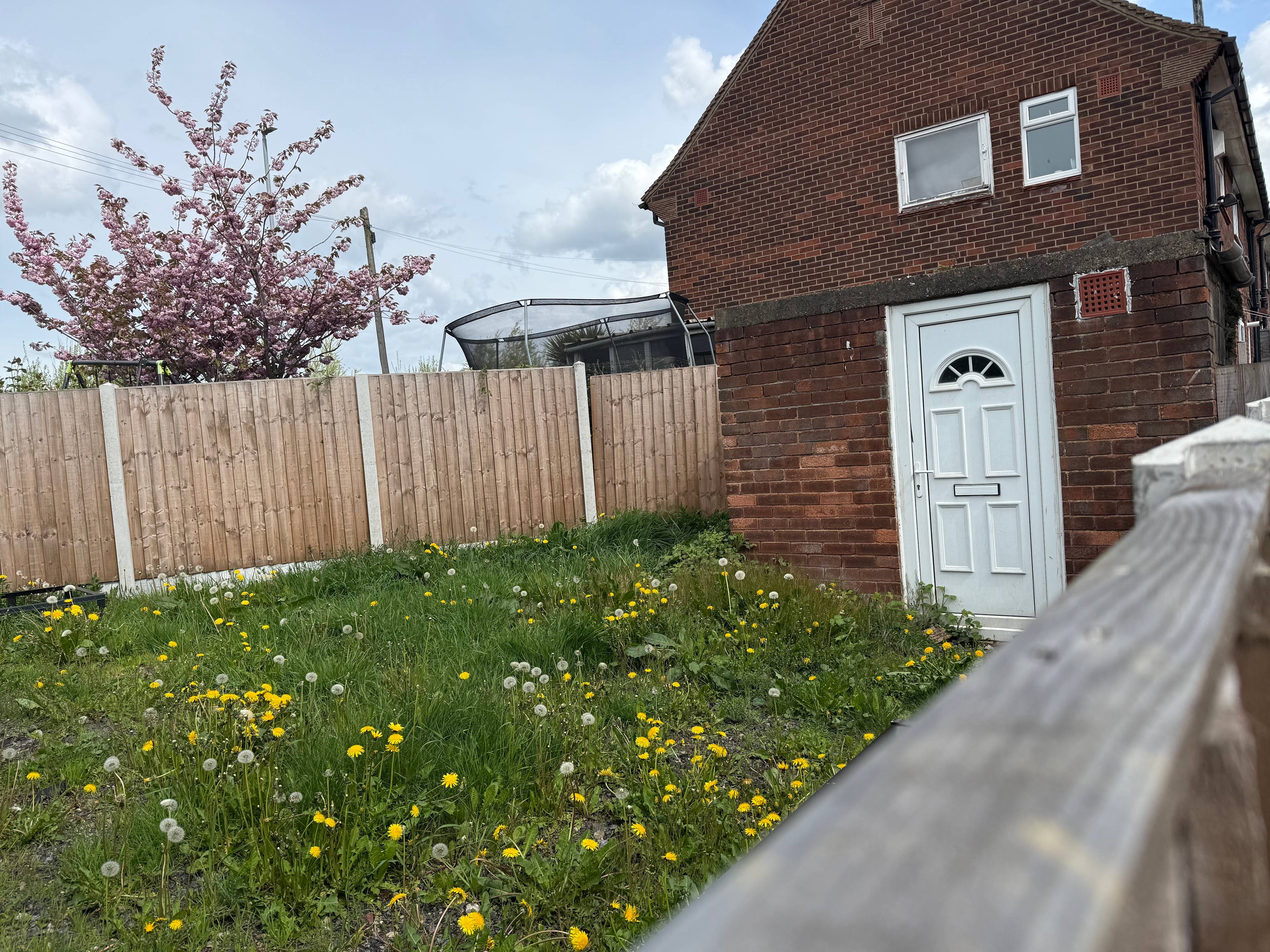 Side Garden