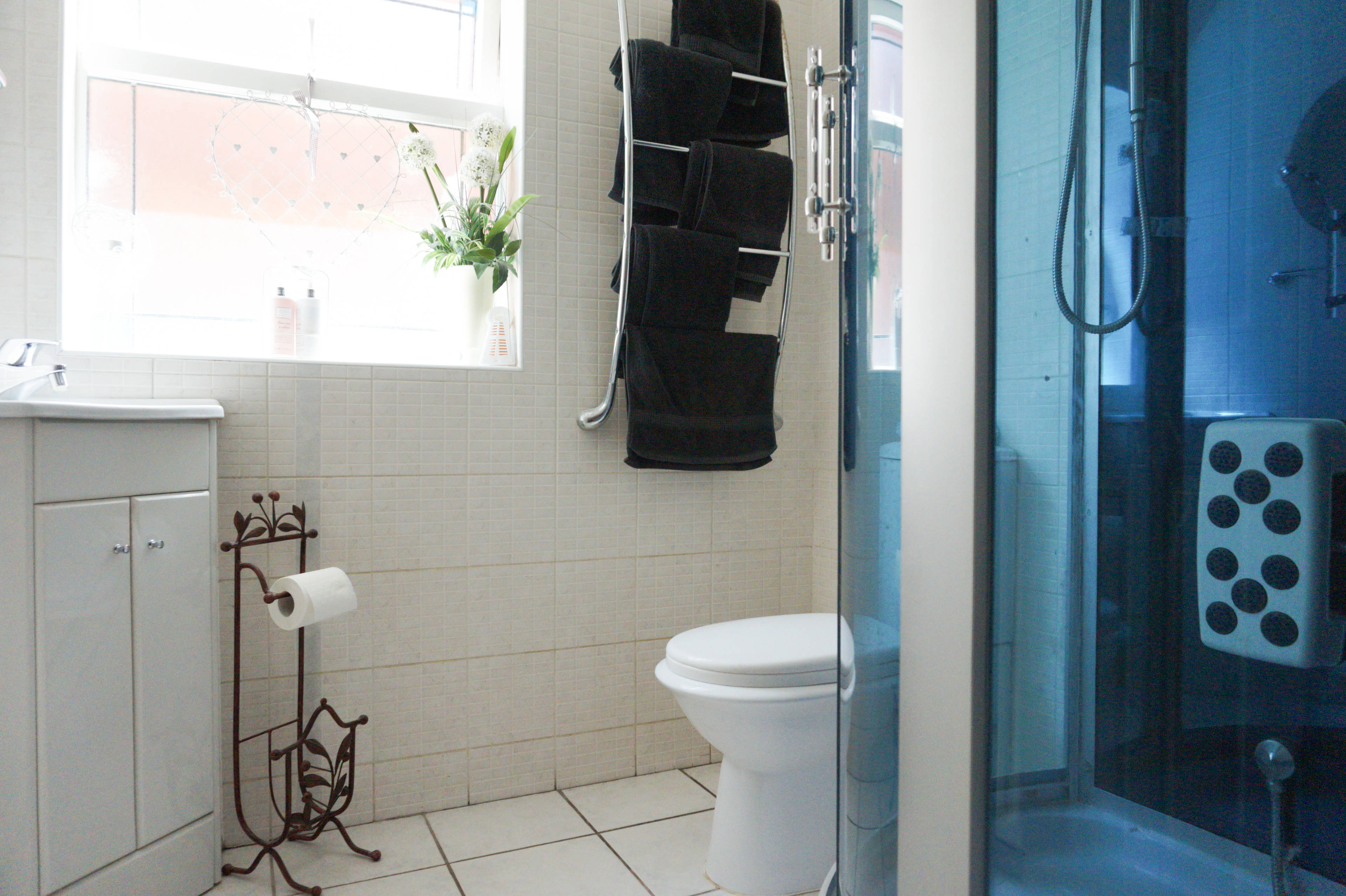 Downstairs Shower