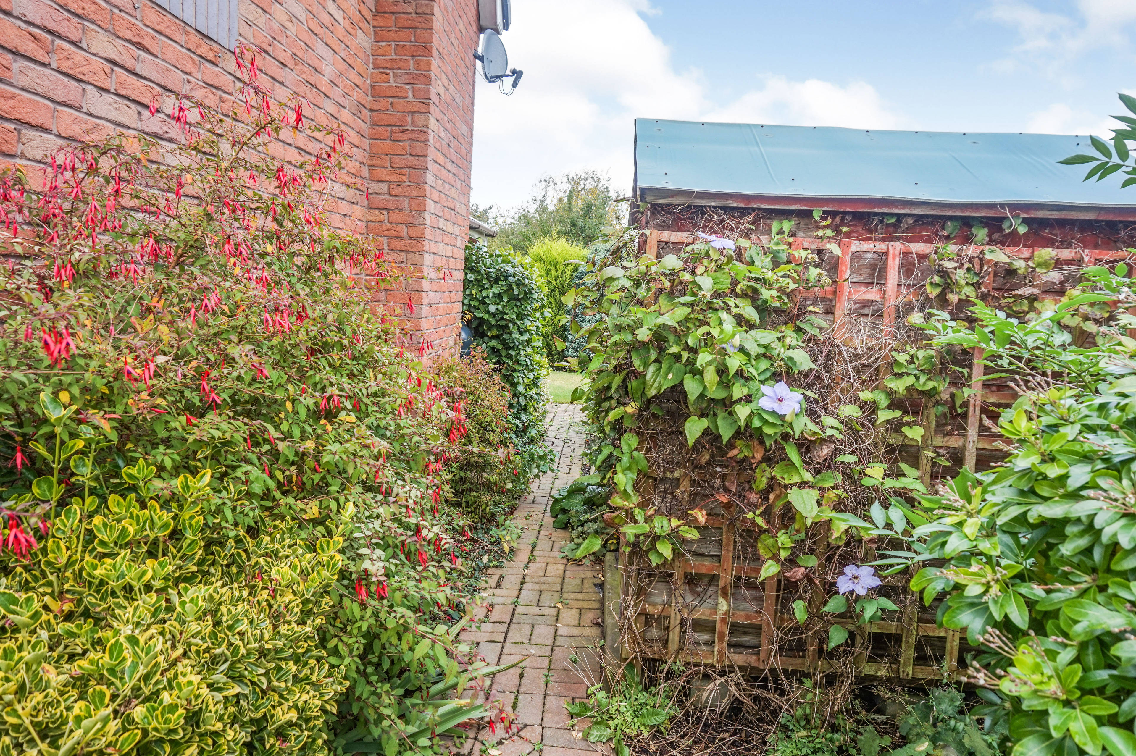 Side Garden