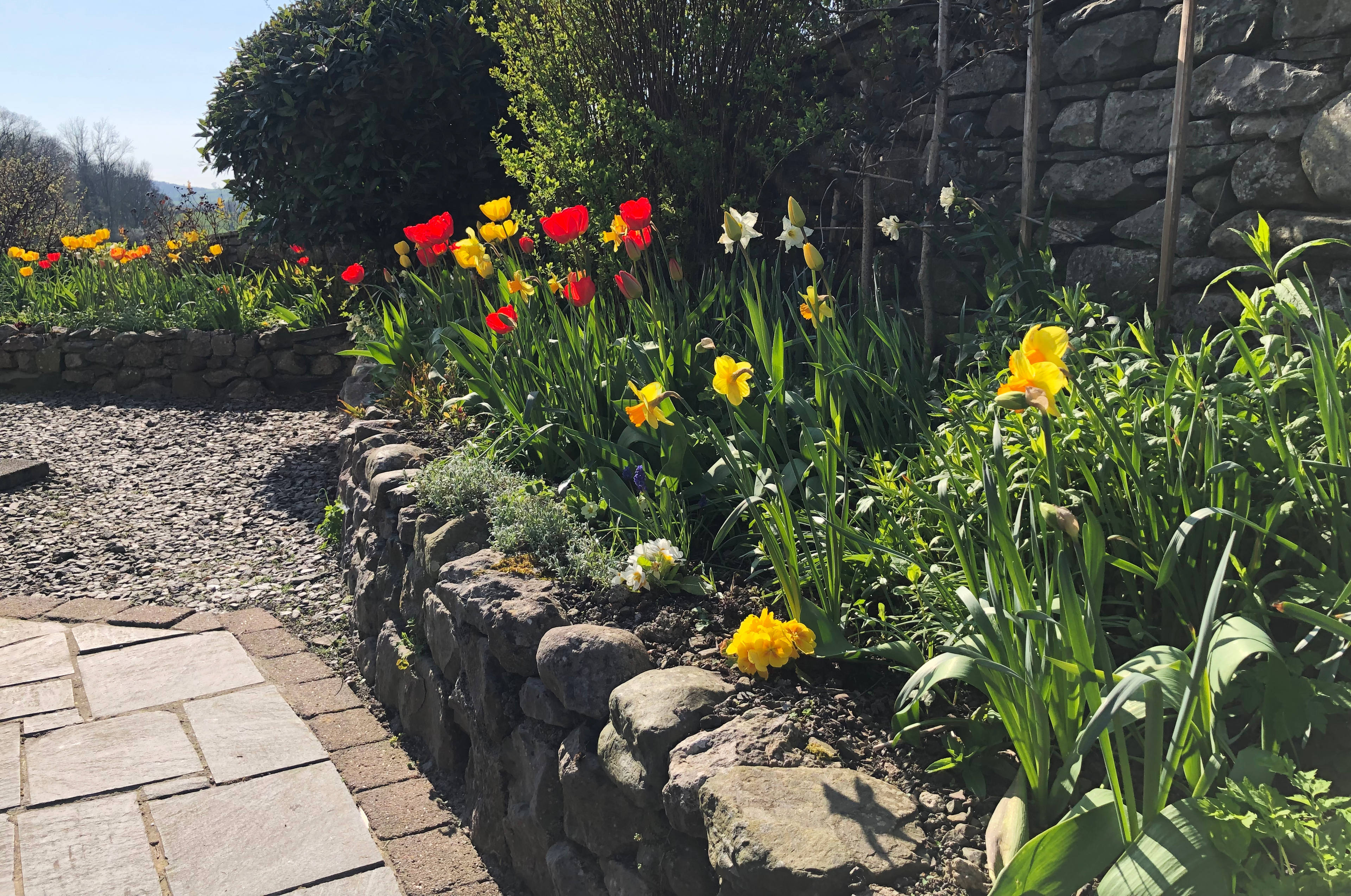 Side Garden