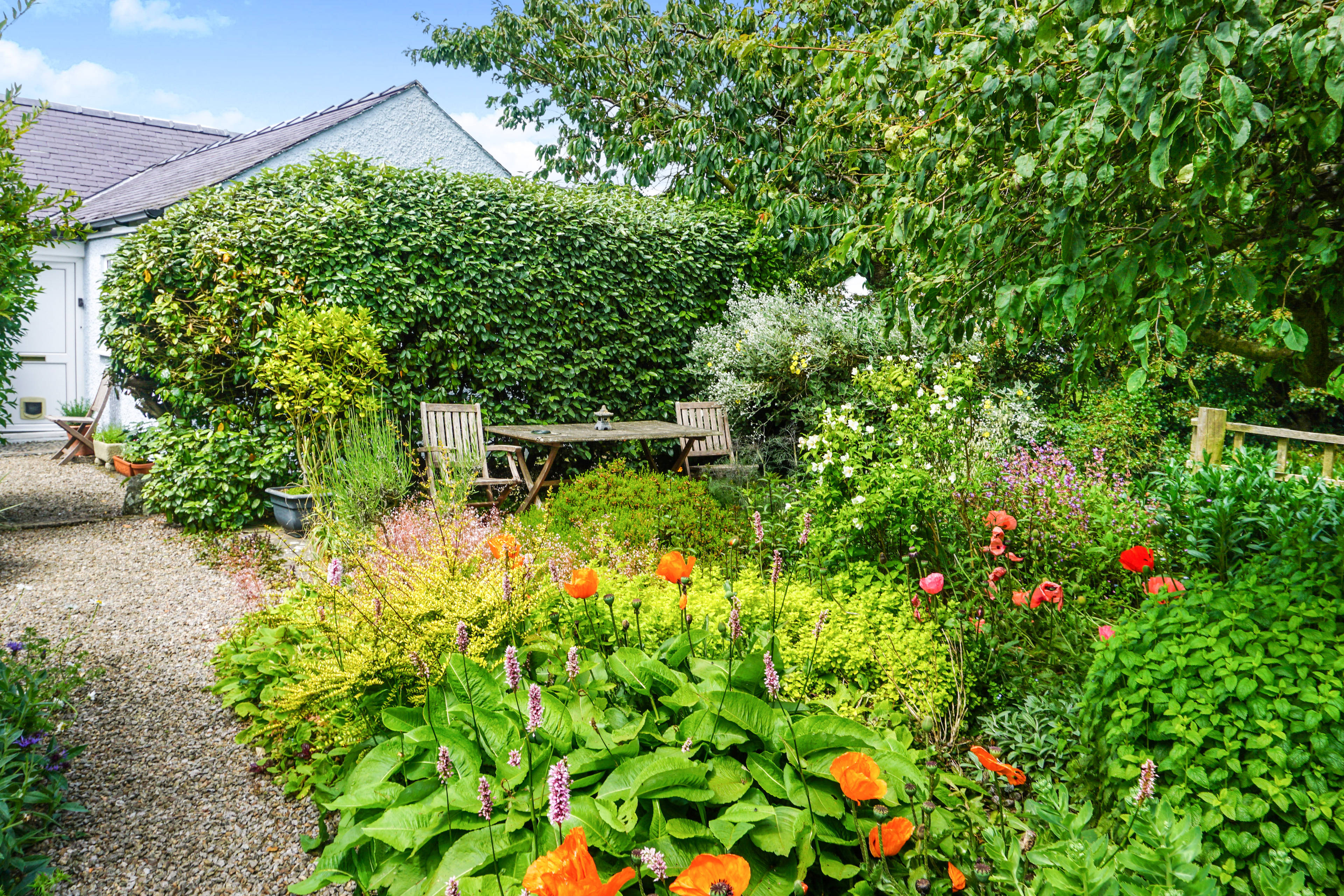 Cottage Garden