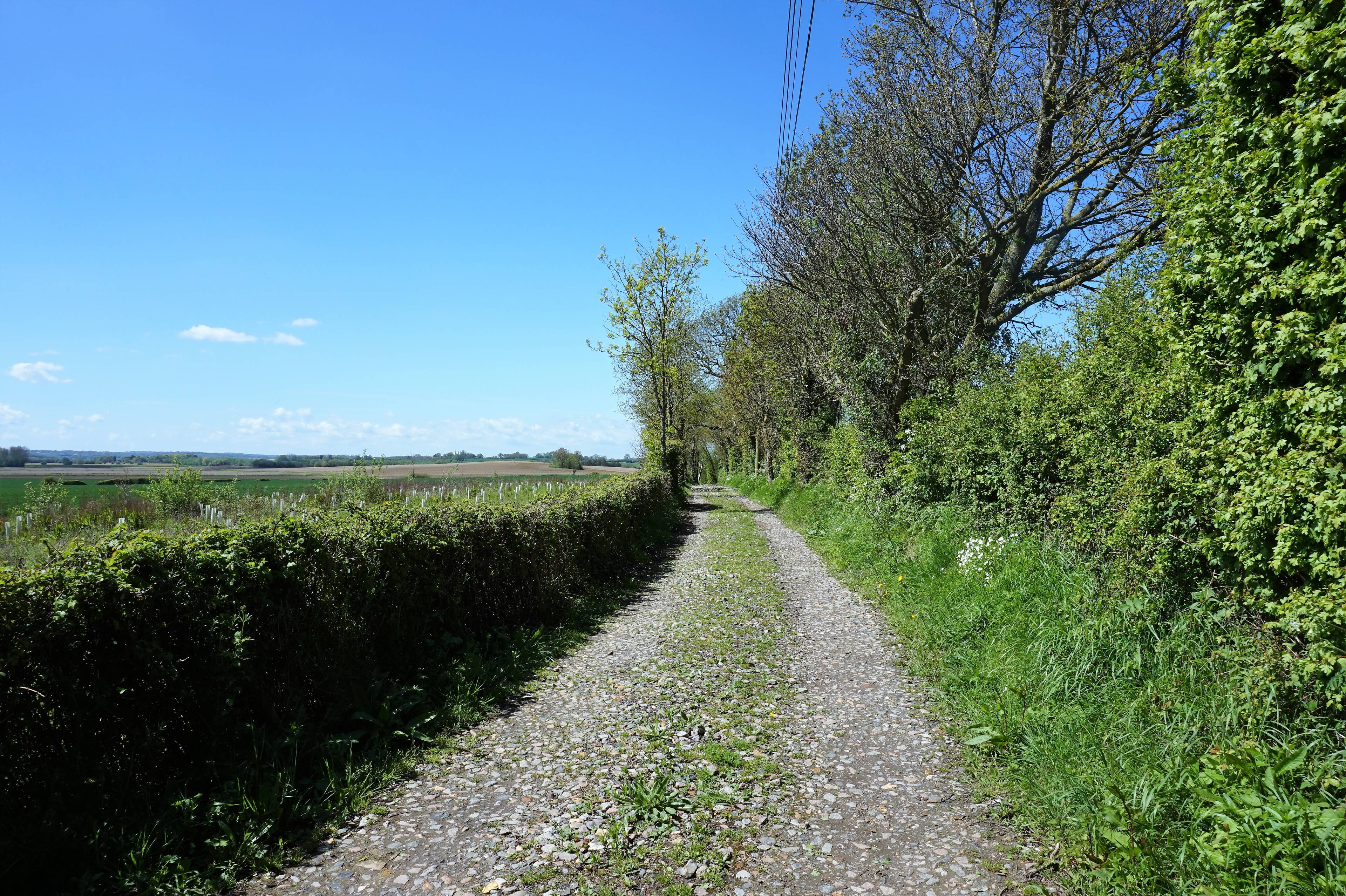 Driveway