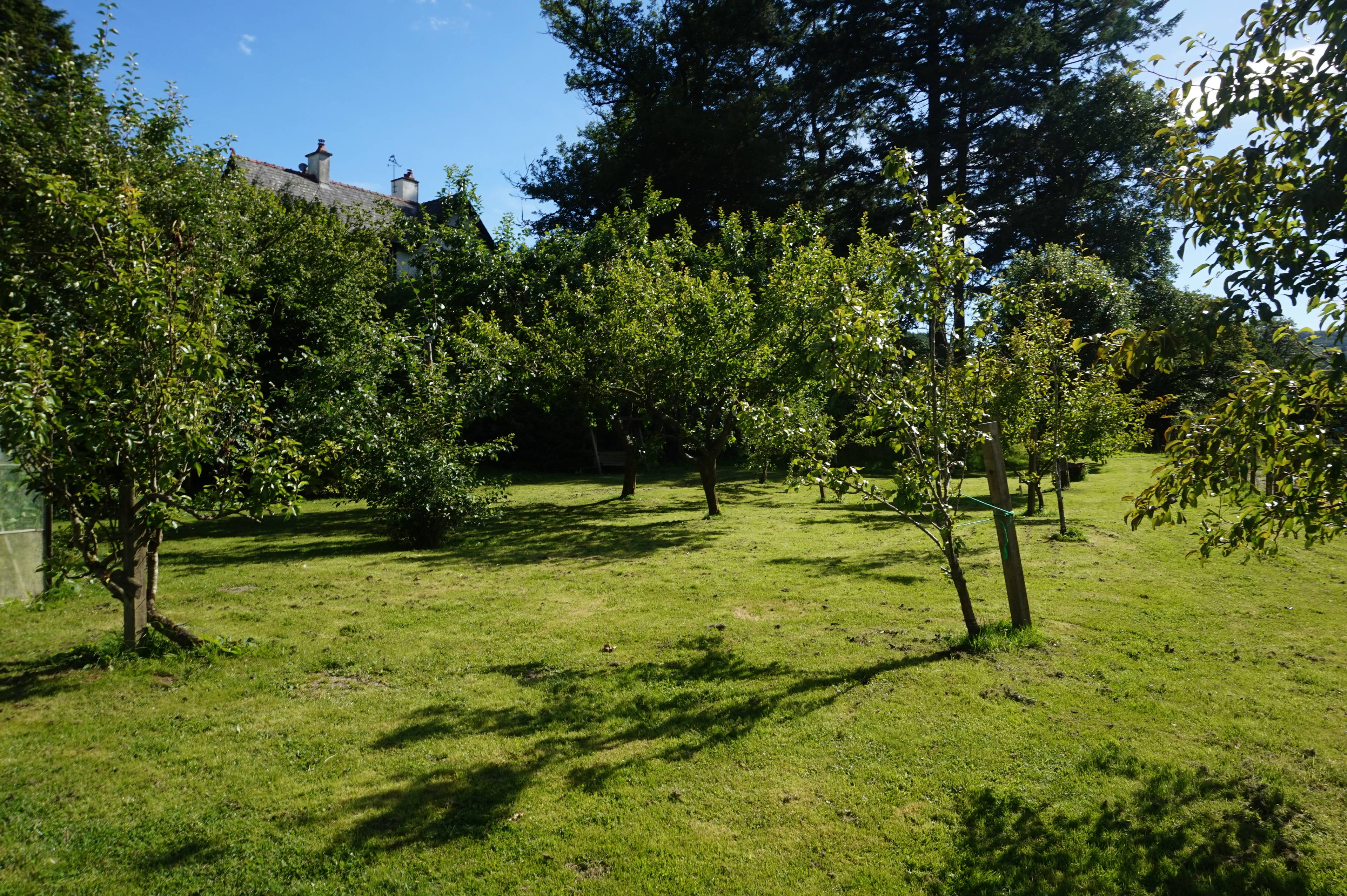 Orchard