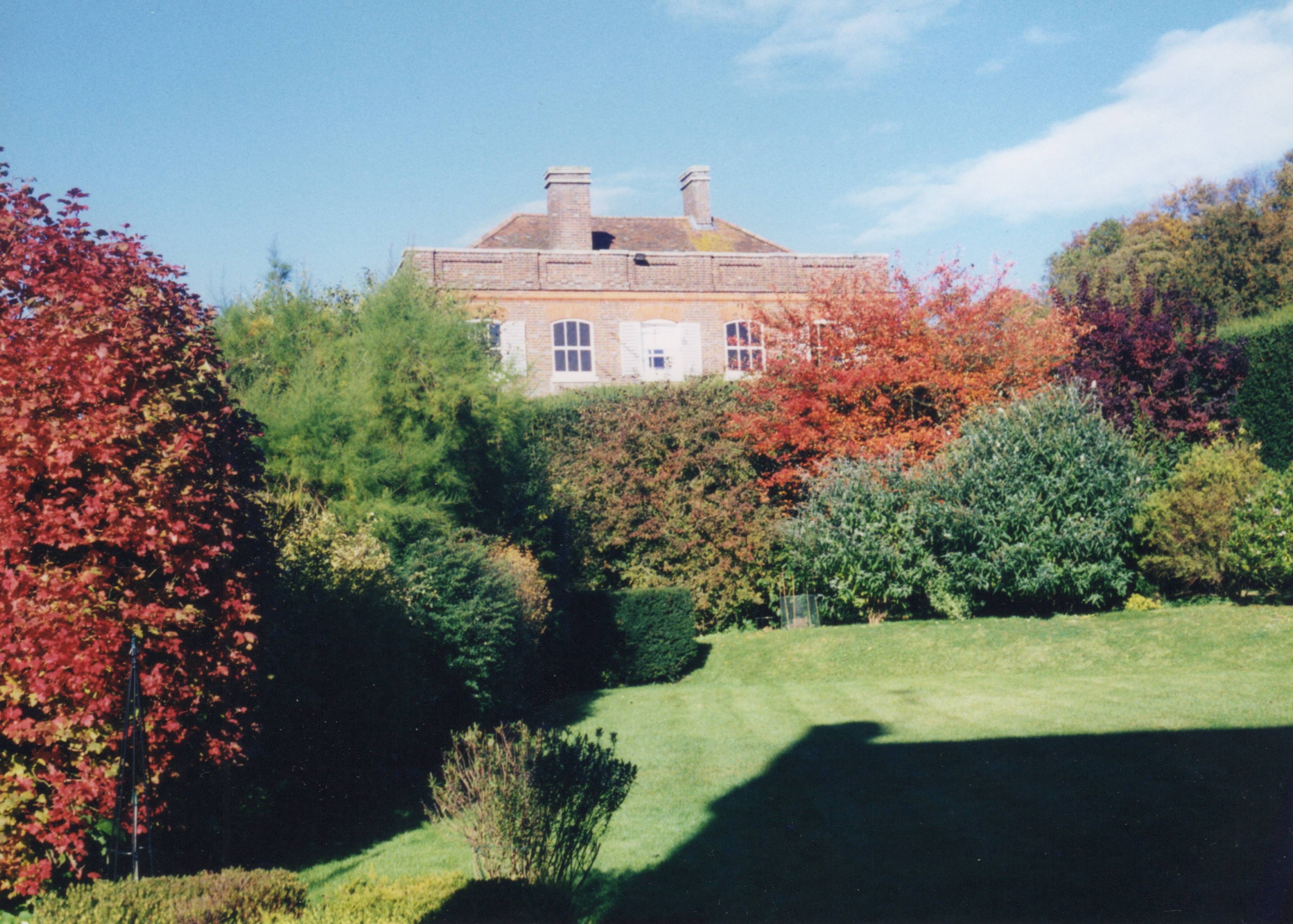 Rear View
