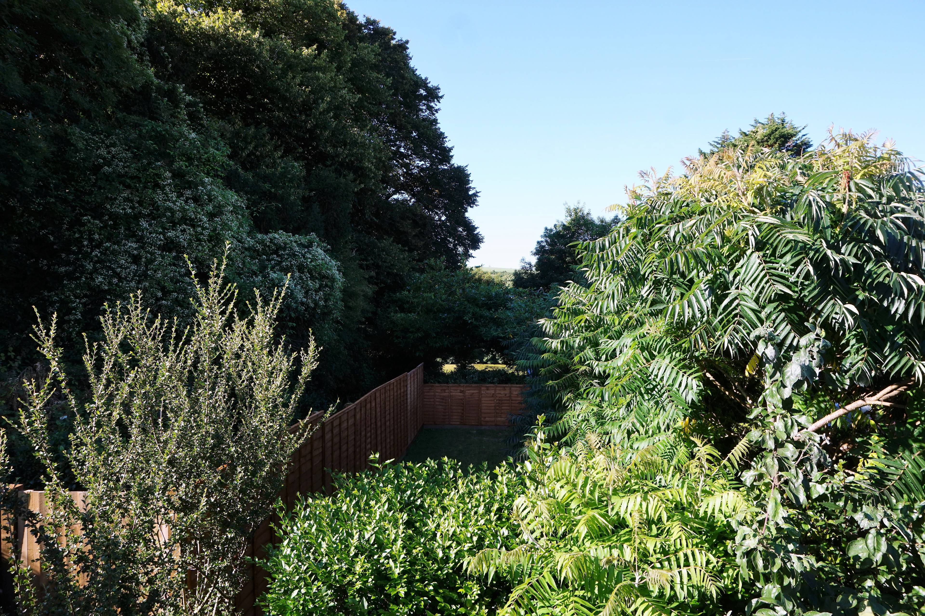 Mature Garden