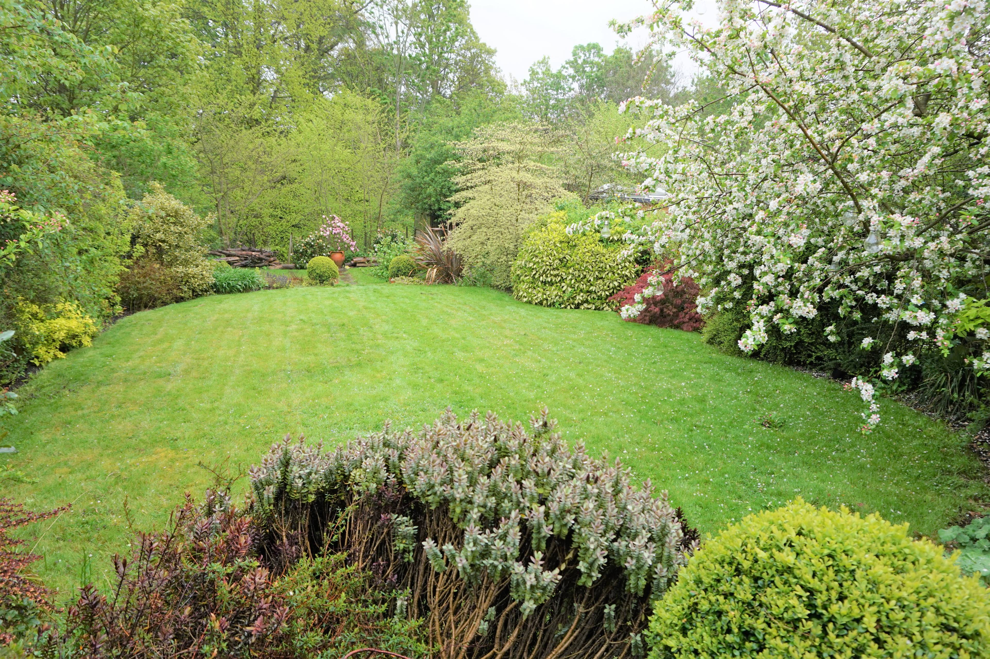Mature Garden