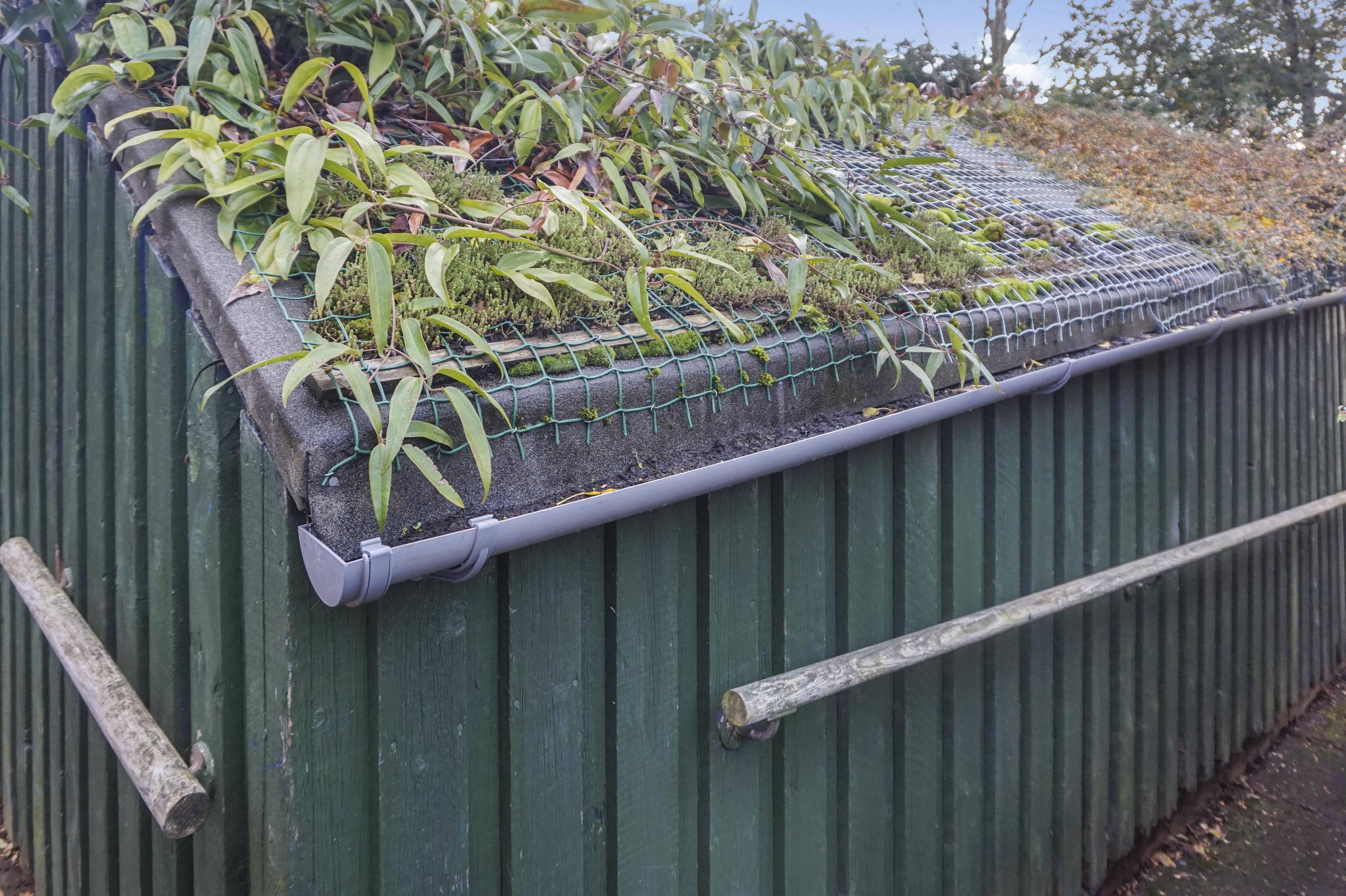 Shed