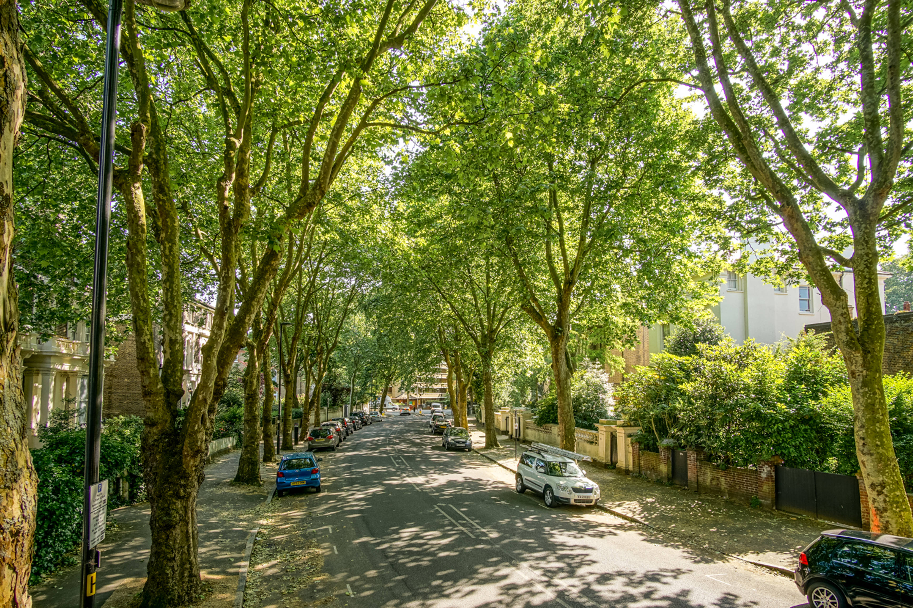 Street Scene