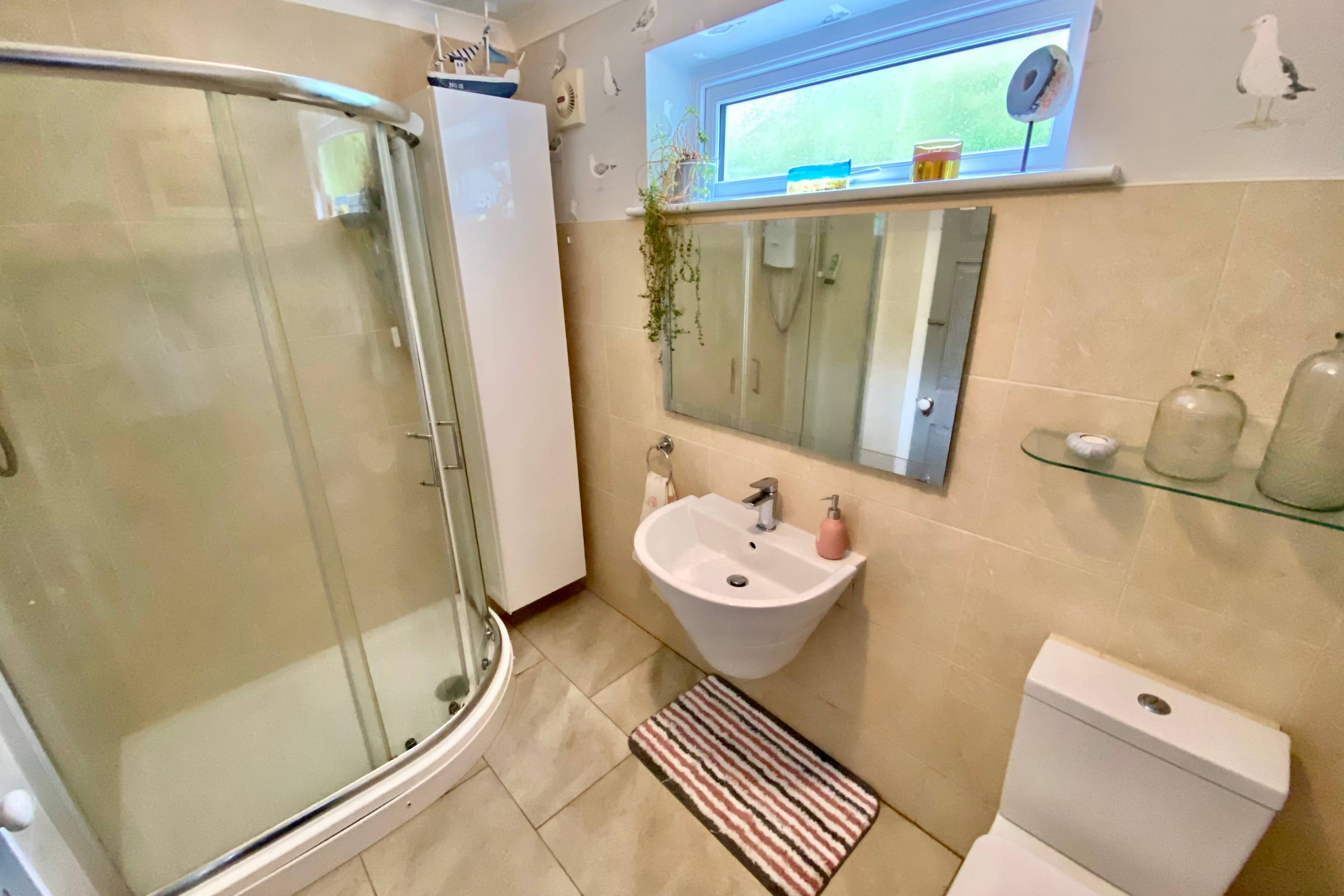 Downstairs Shower