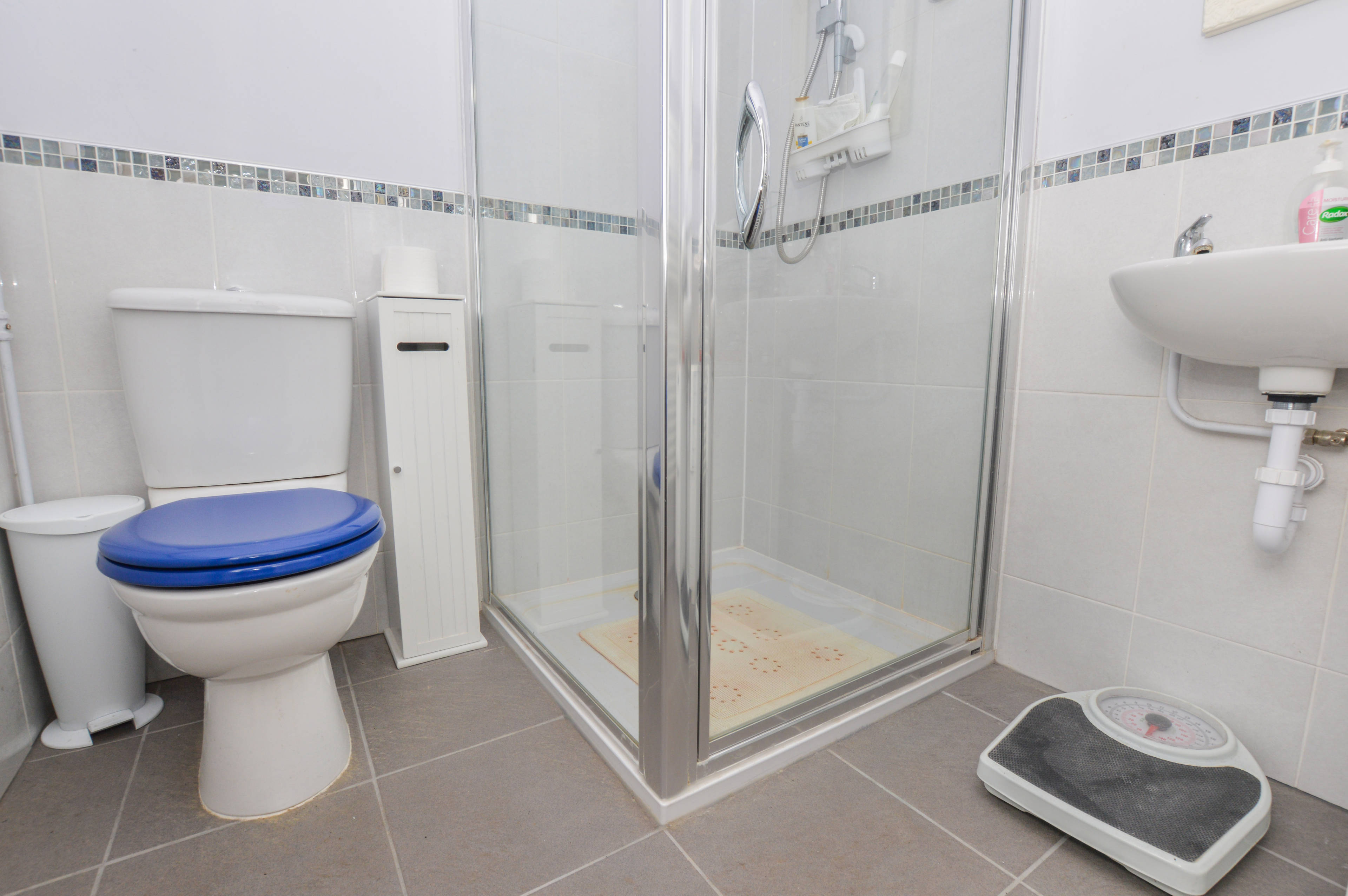 Downstairs Shower