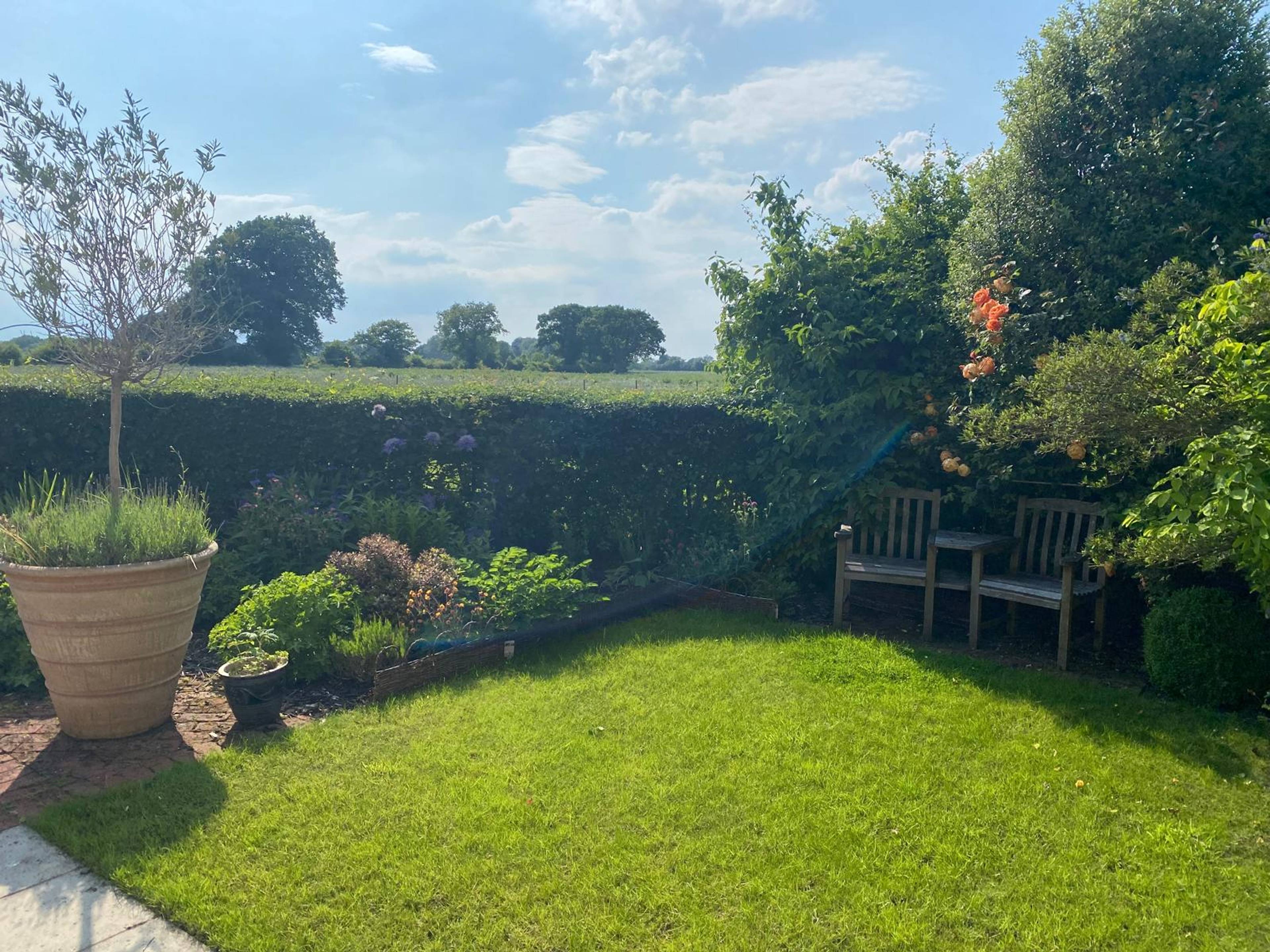 Garden