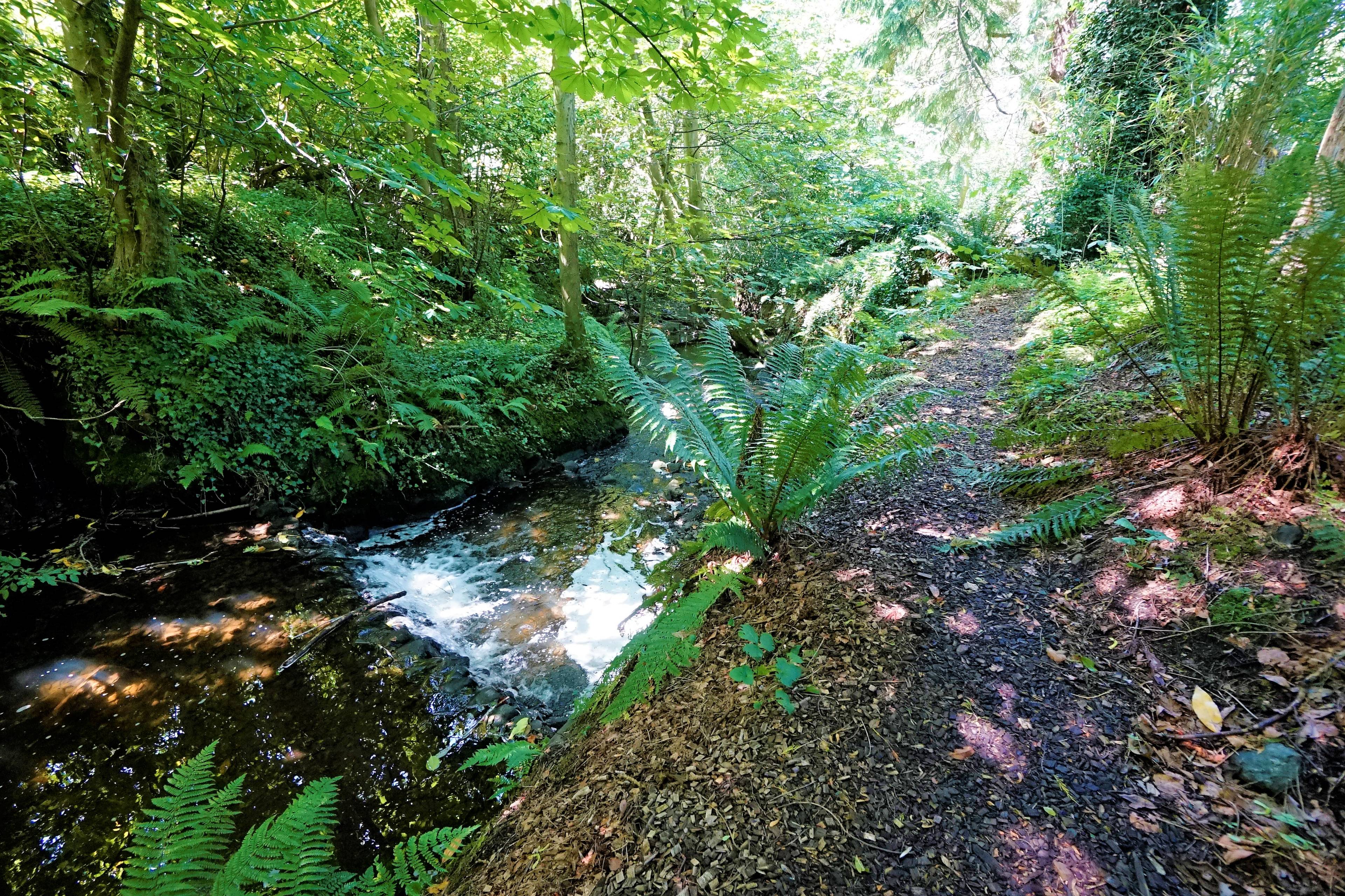 Woodland