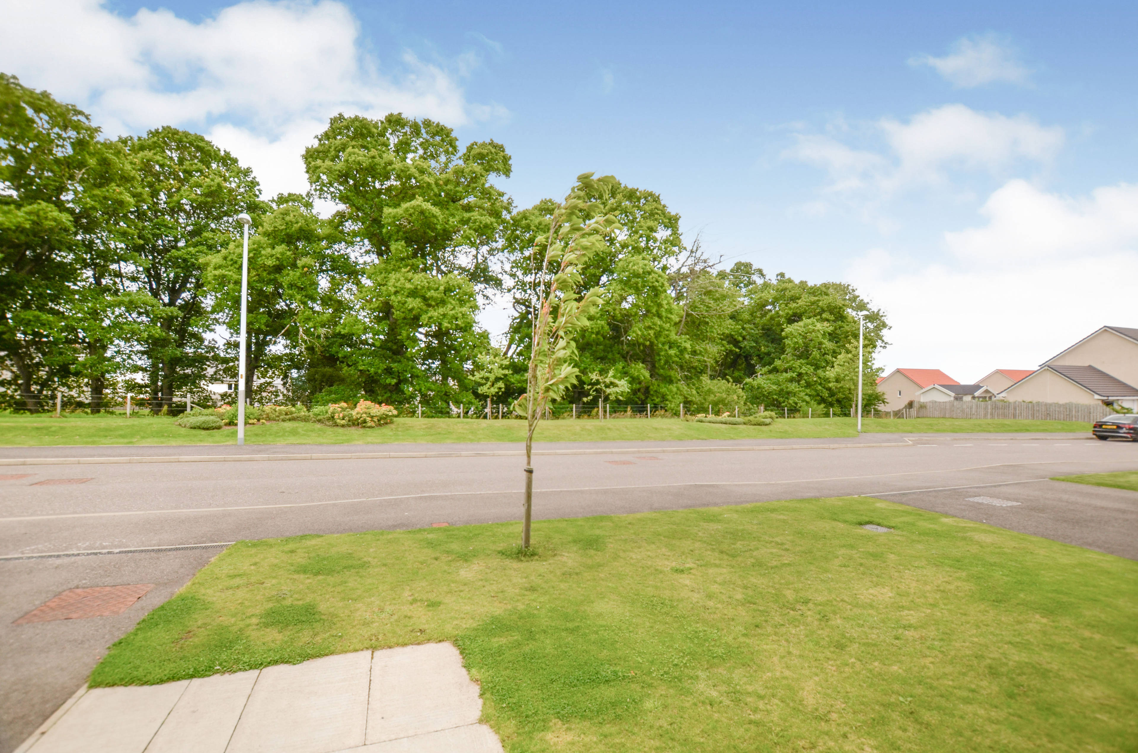 Surrounding Area