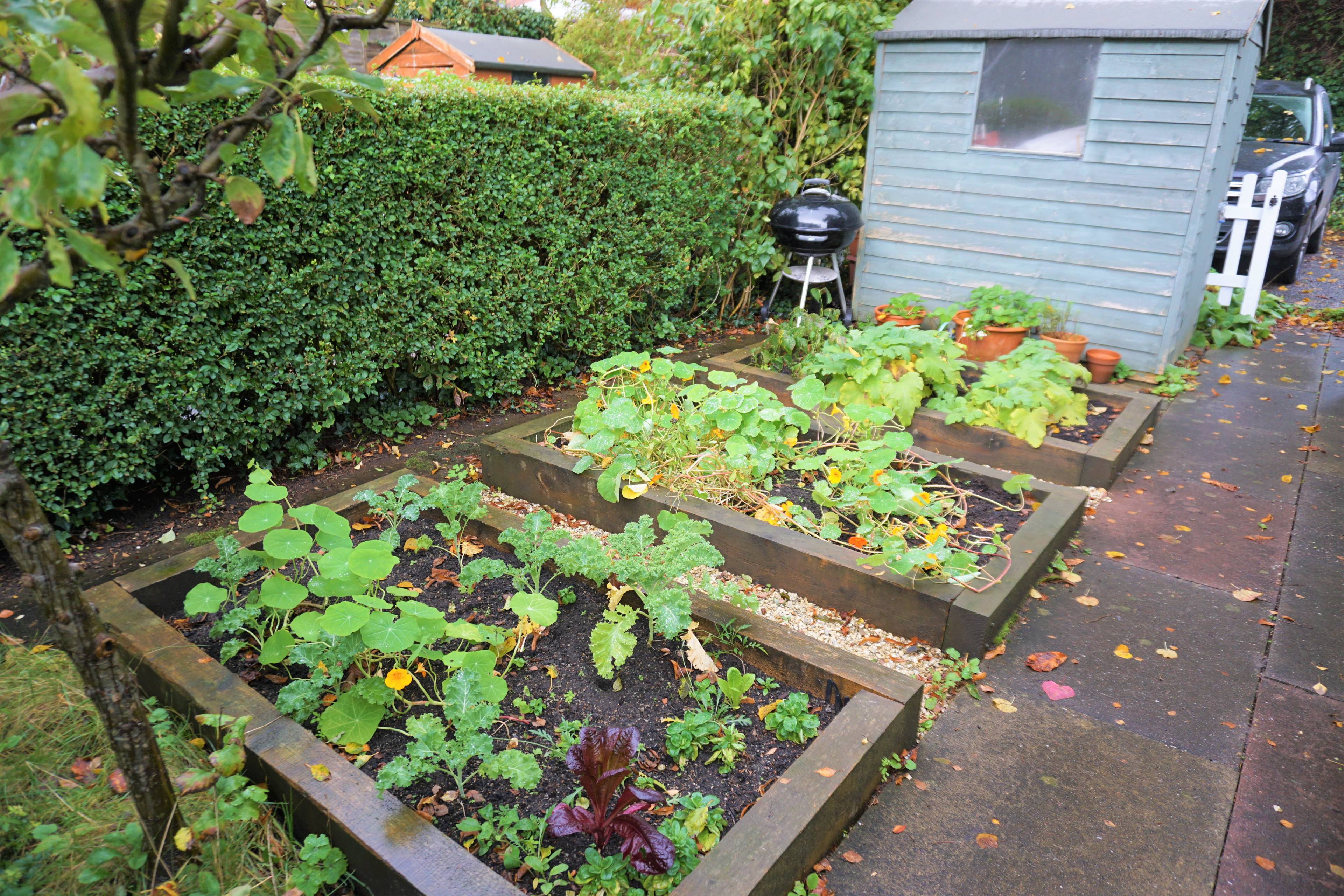 Front Garden