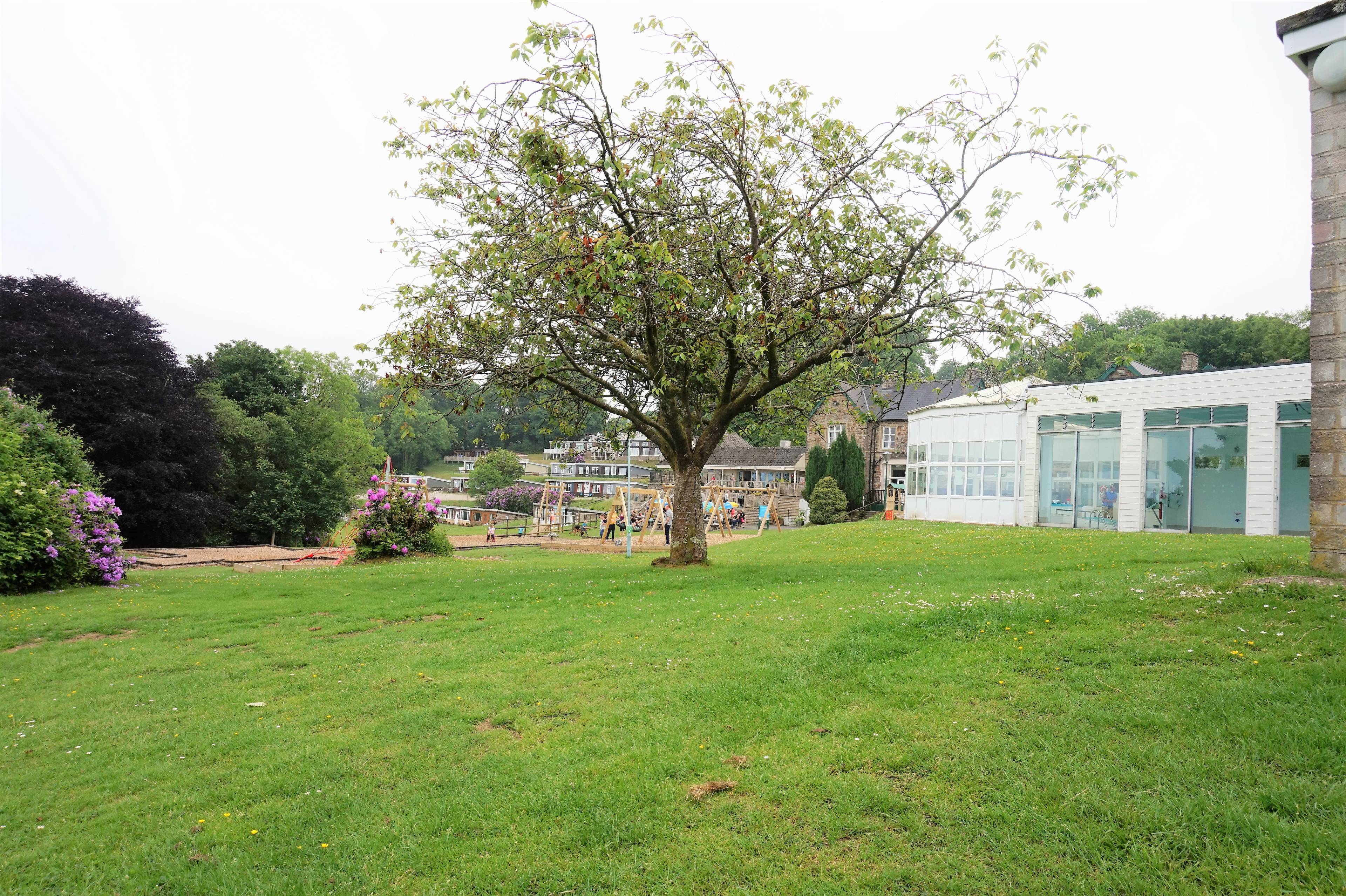 The Park
