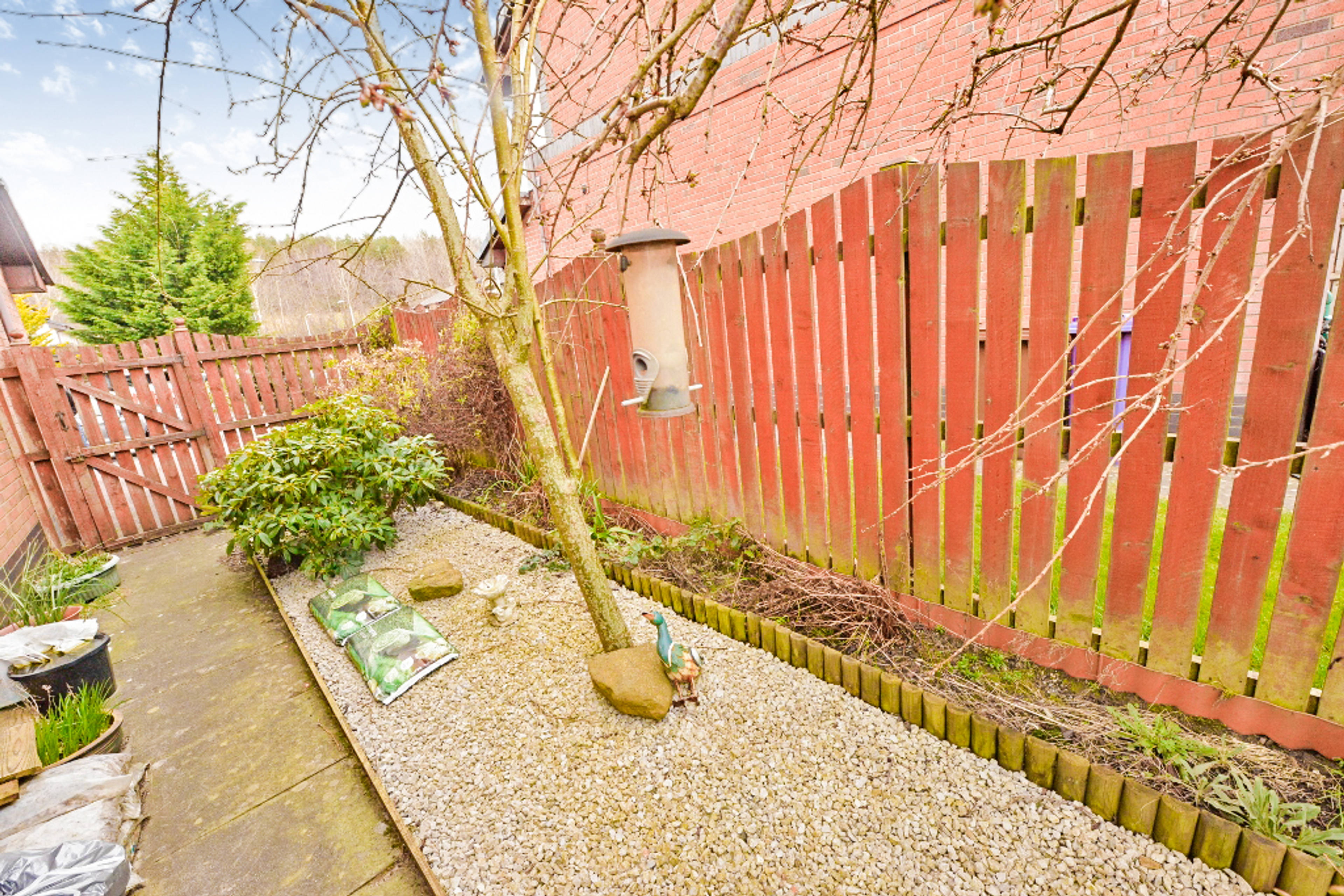 Side Garden