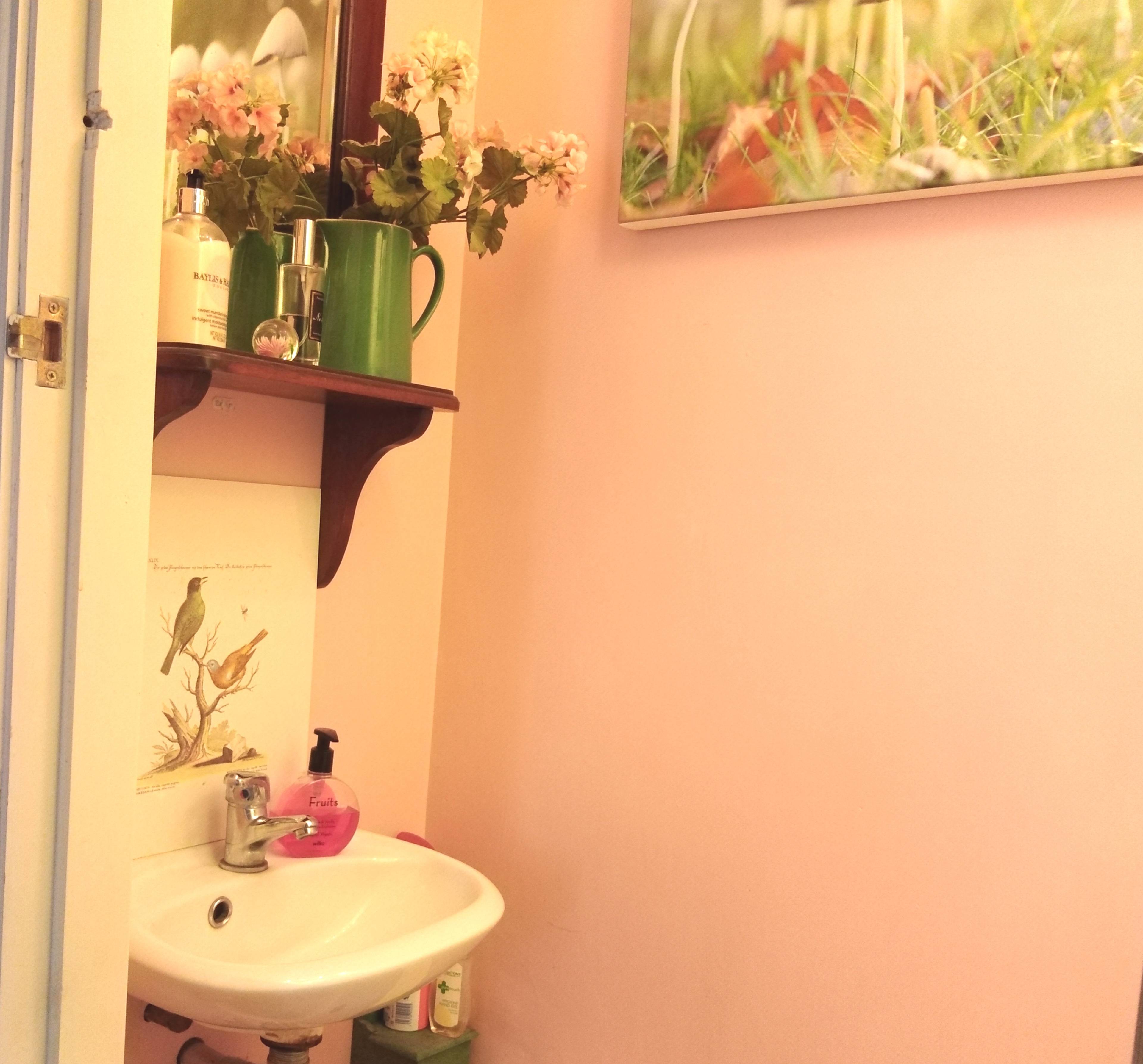 Downstairs Cloakroom