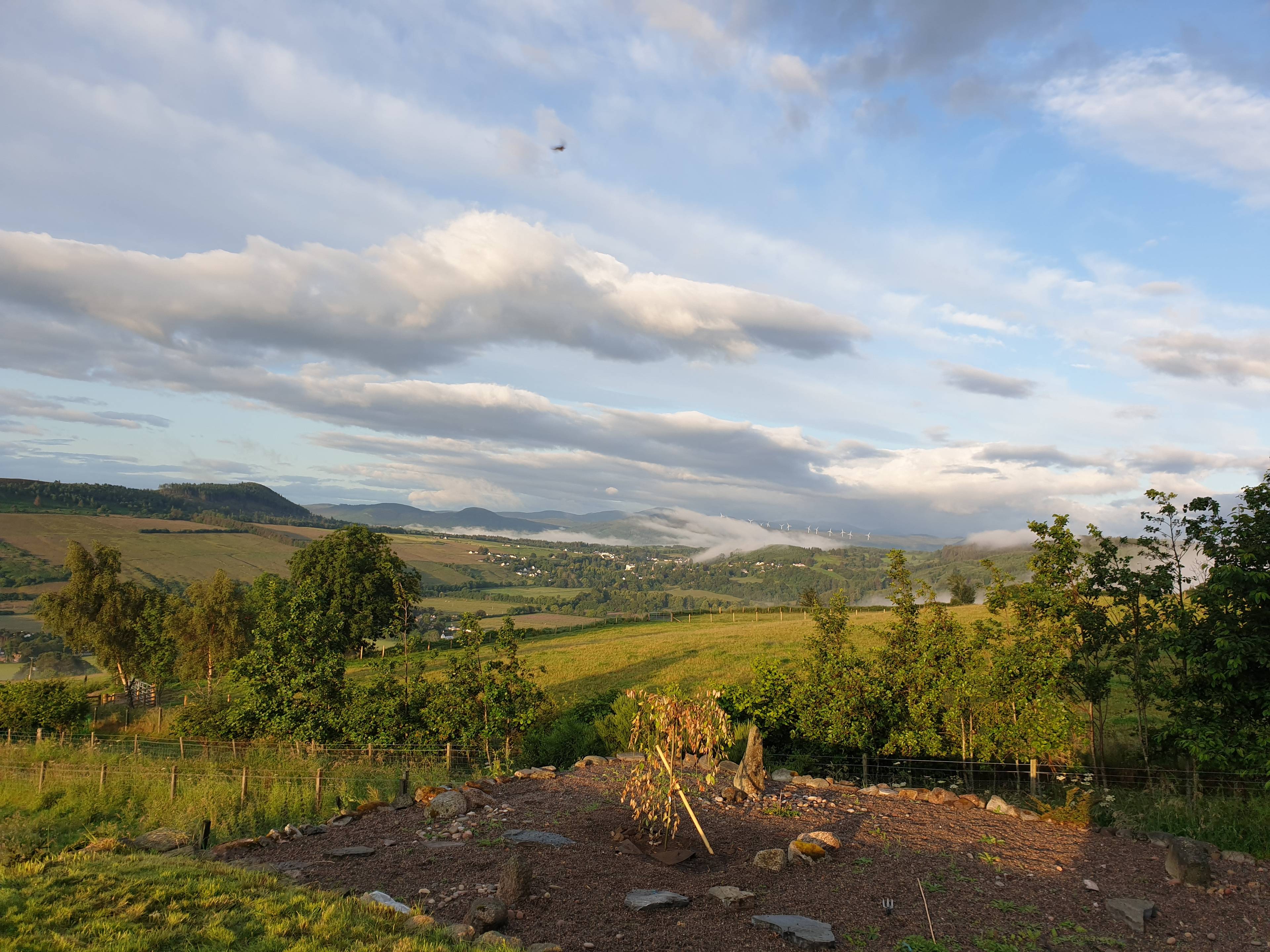 View