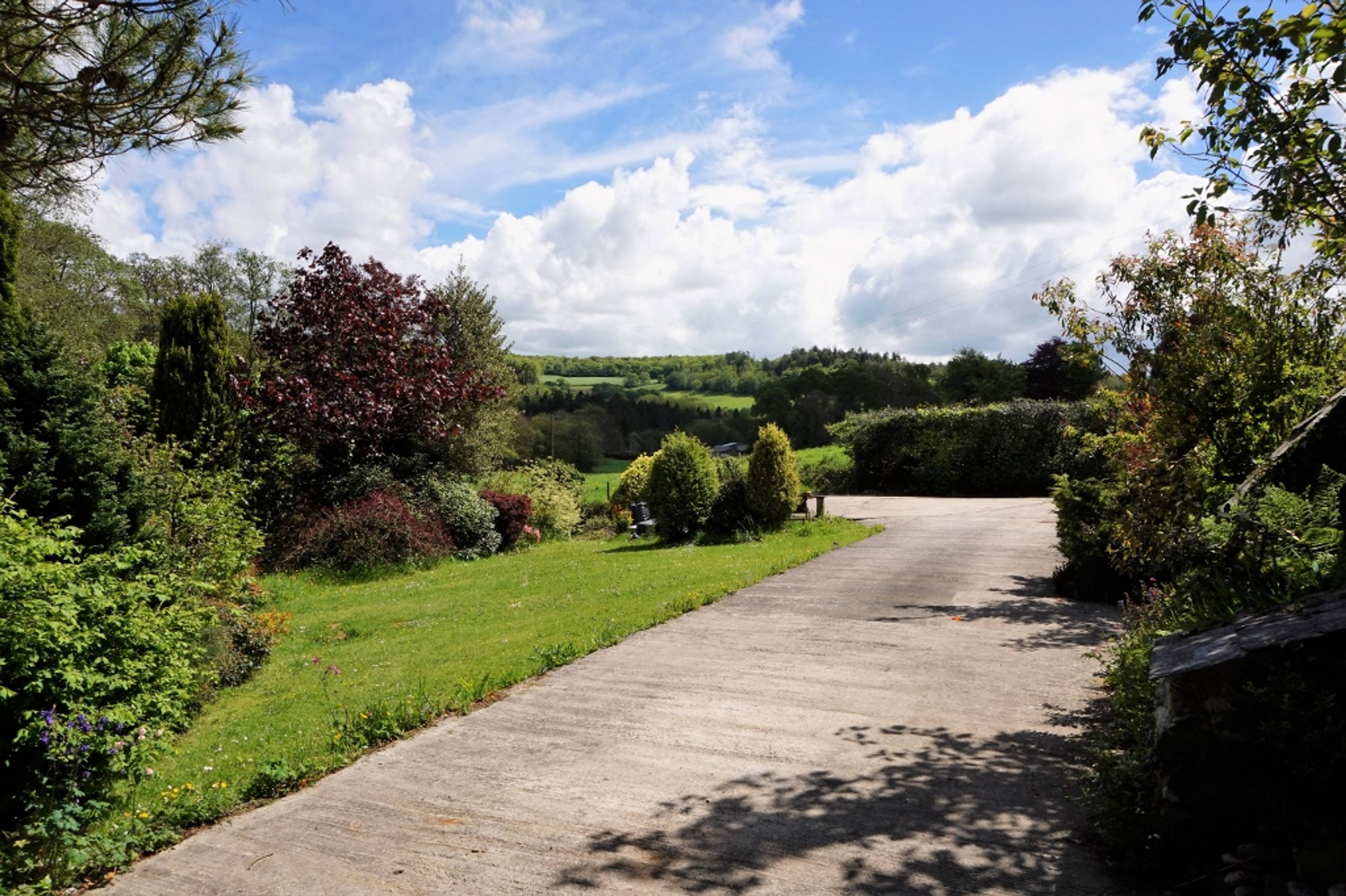 Driveway
