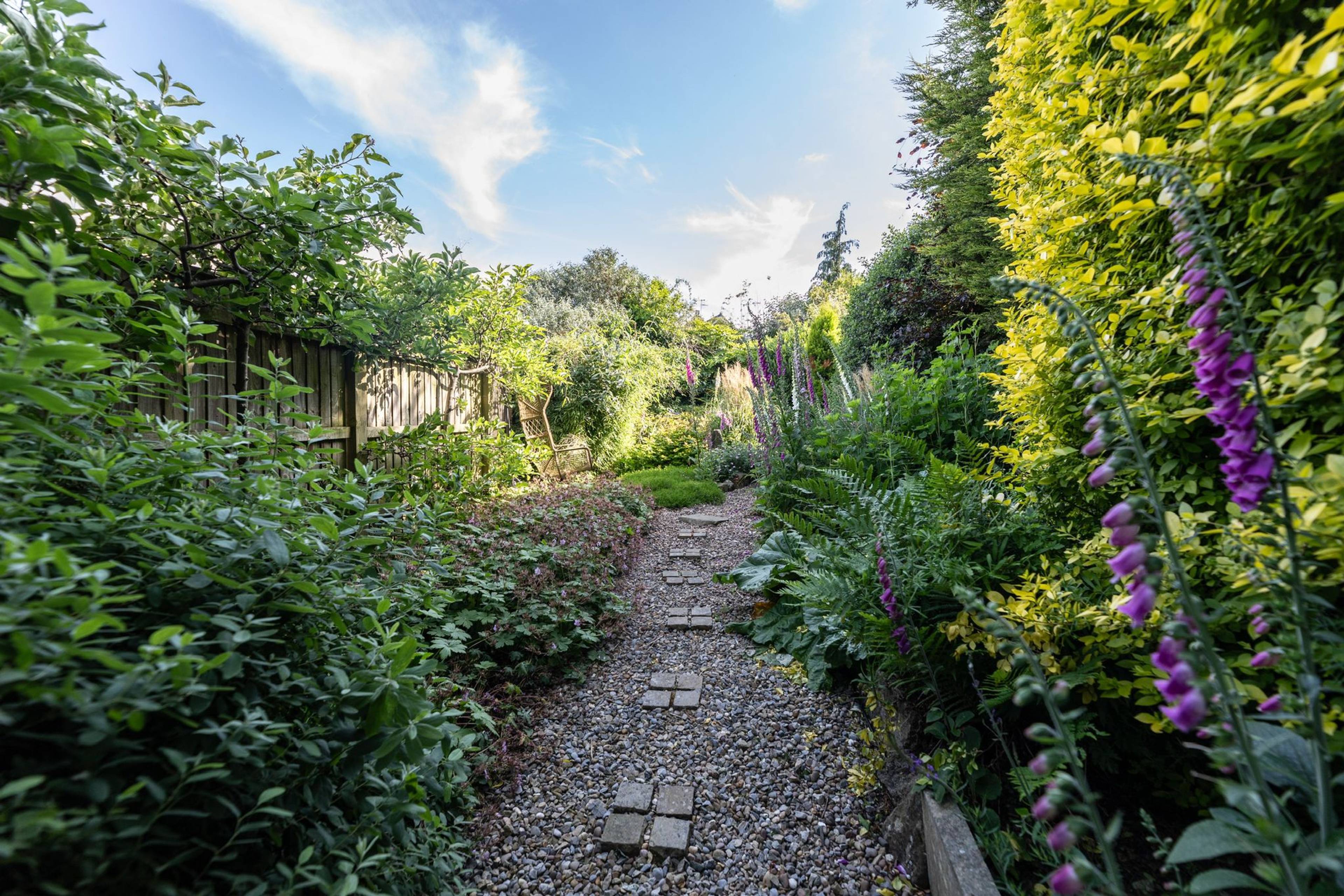 Side Garden