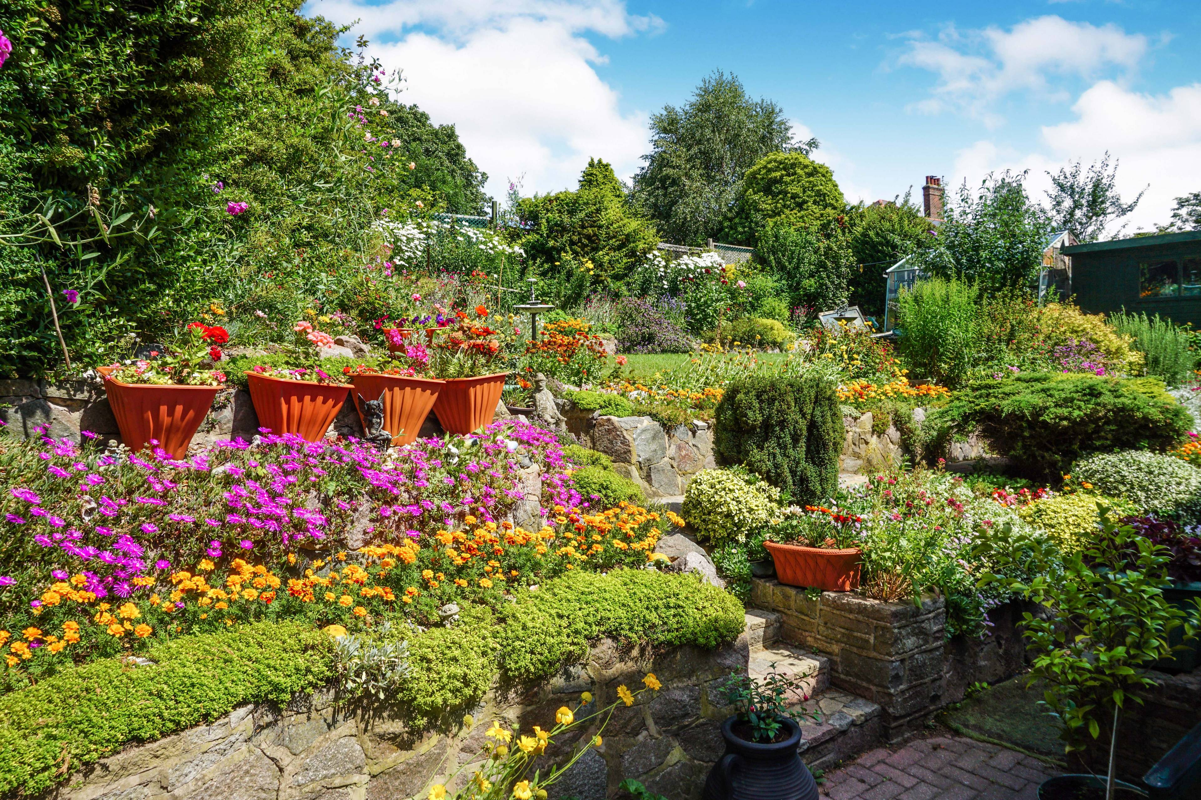 Garden