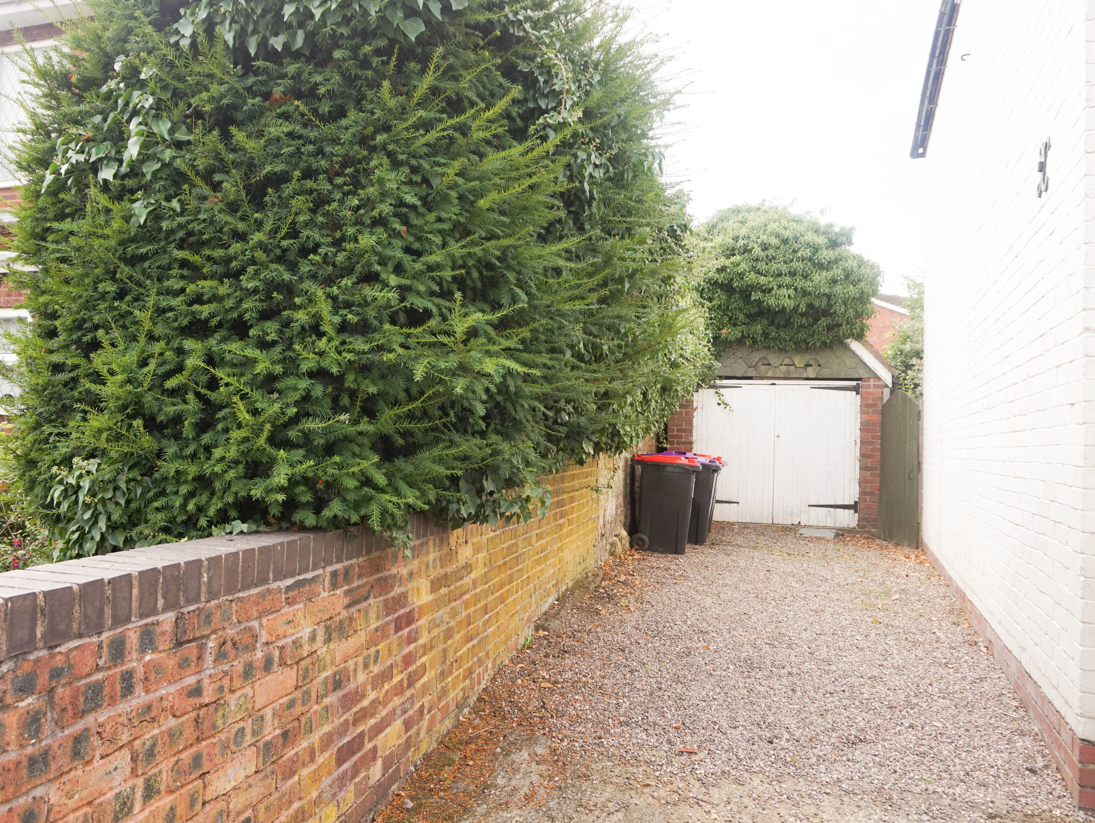 Driveway