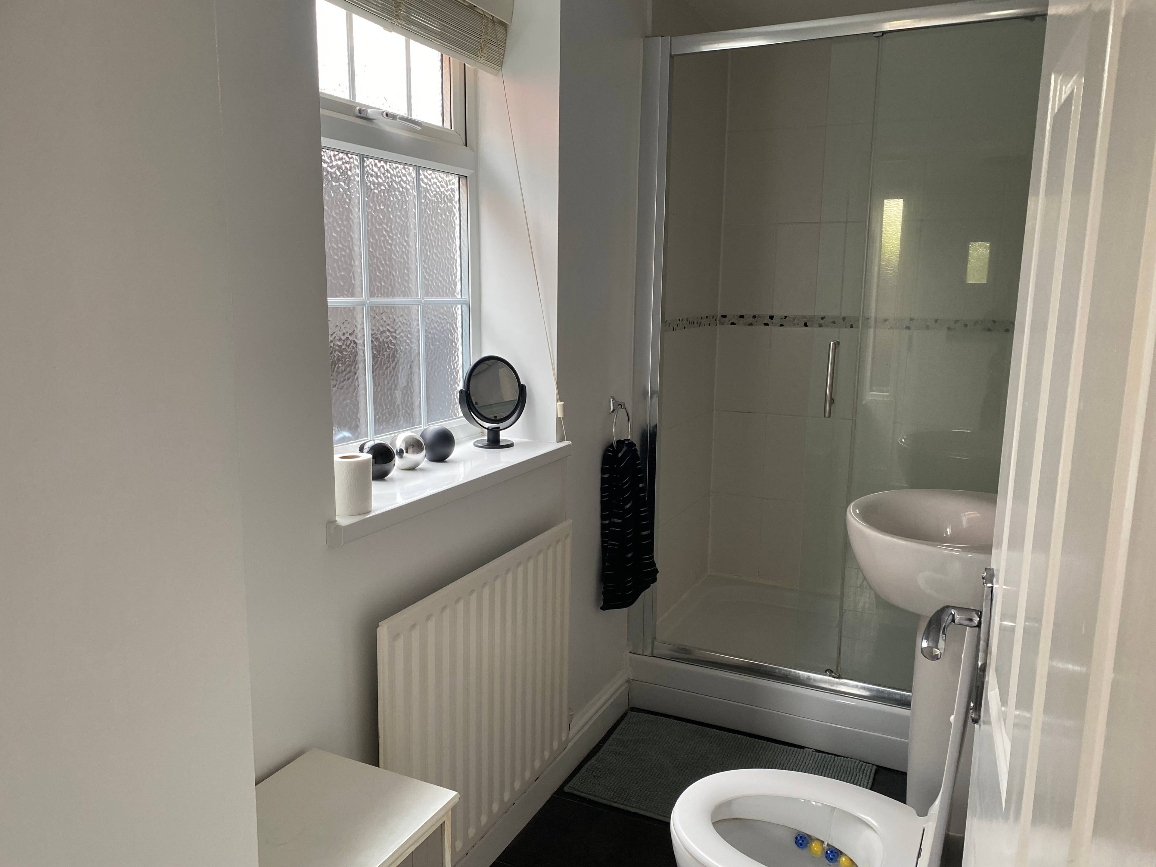 Downstairs Shower