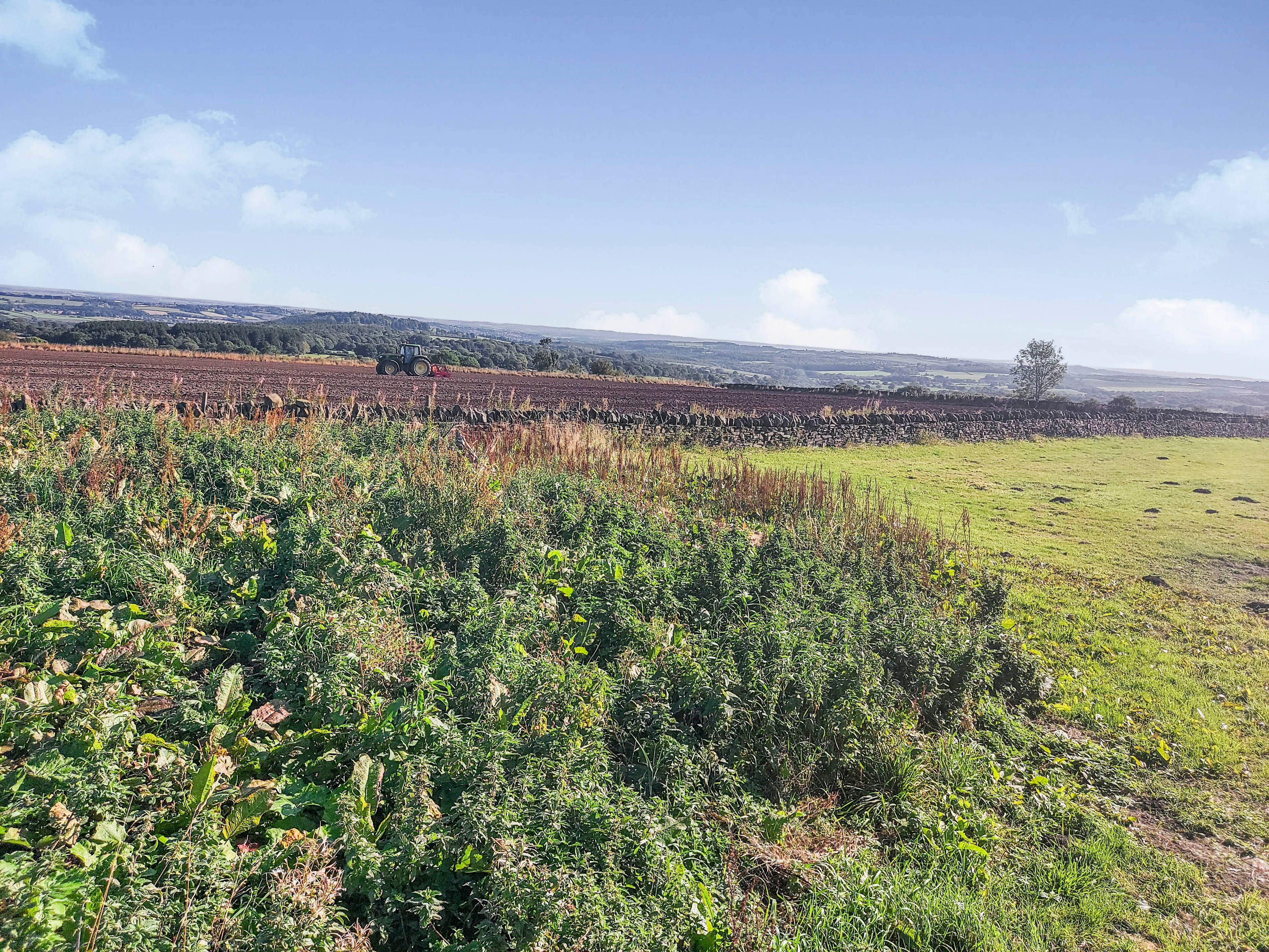 View