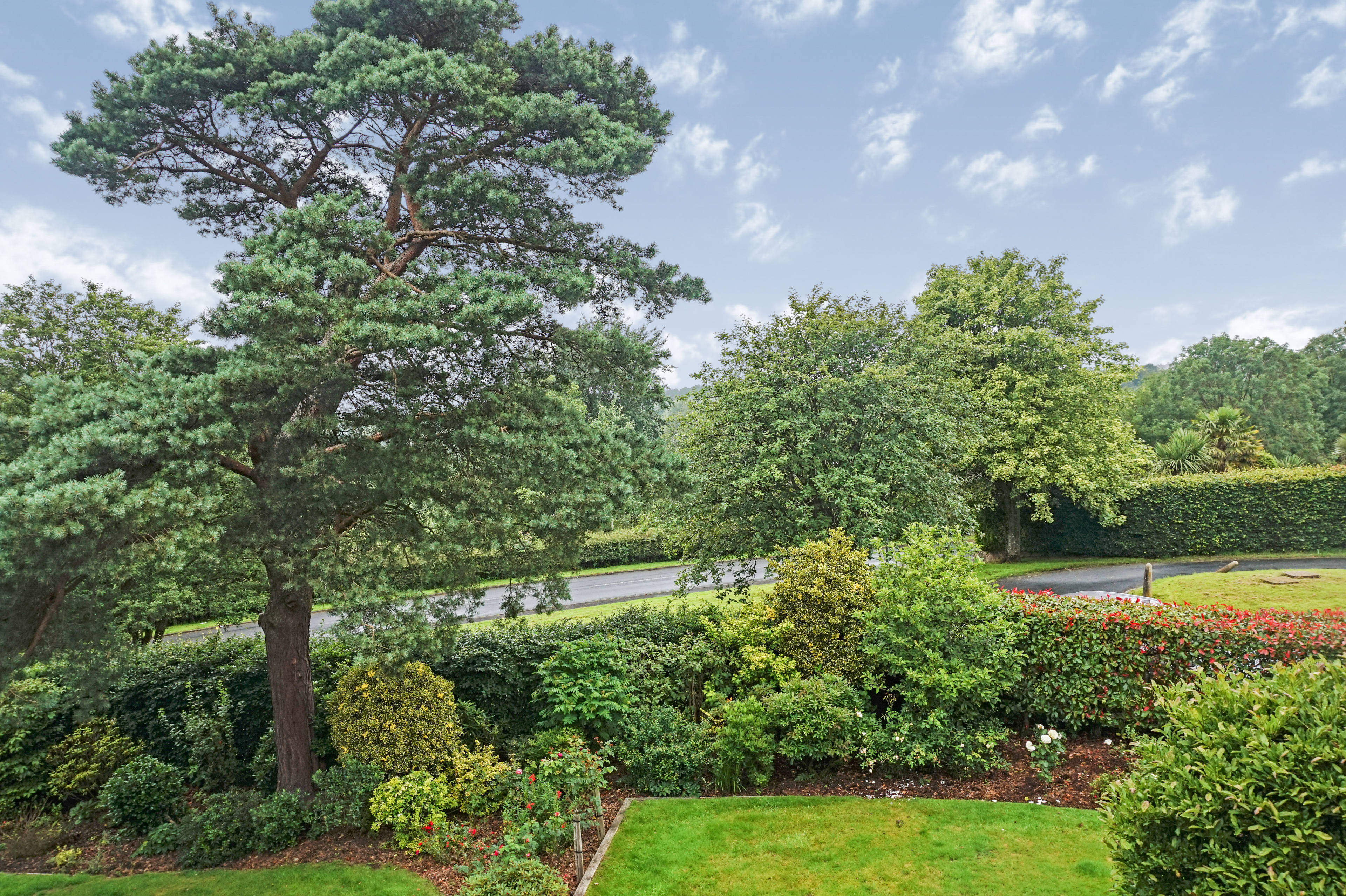 Front Garden