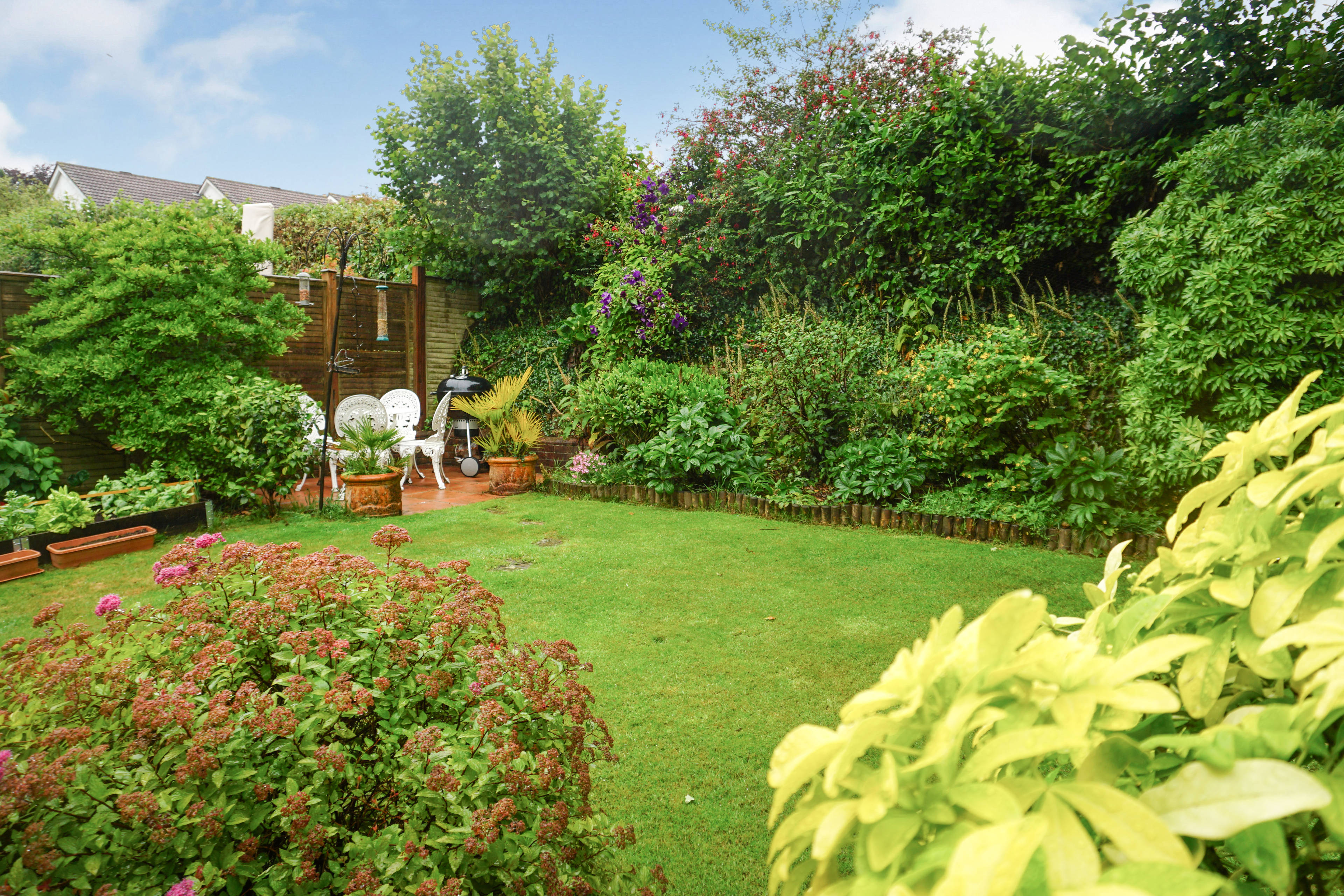 Mature Garden