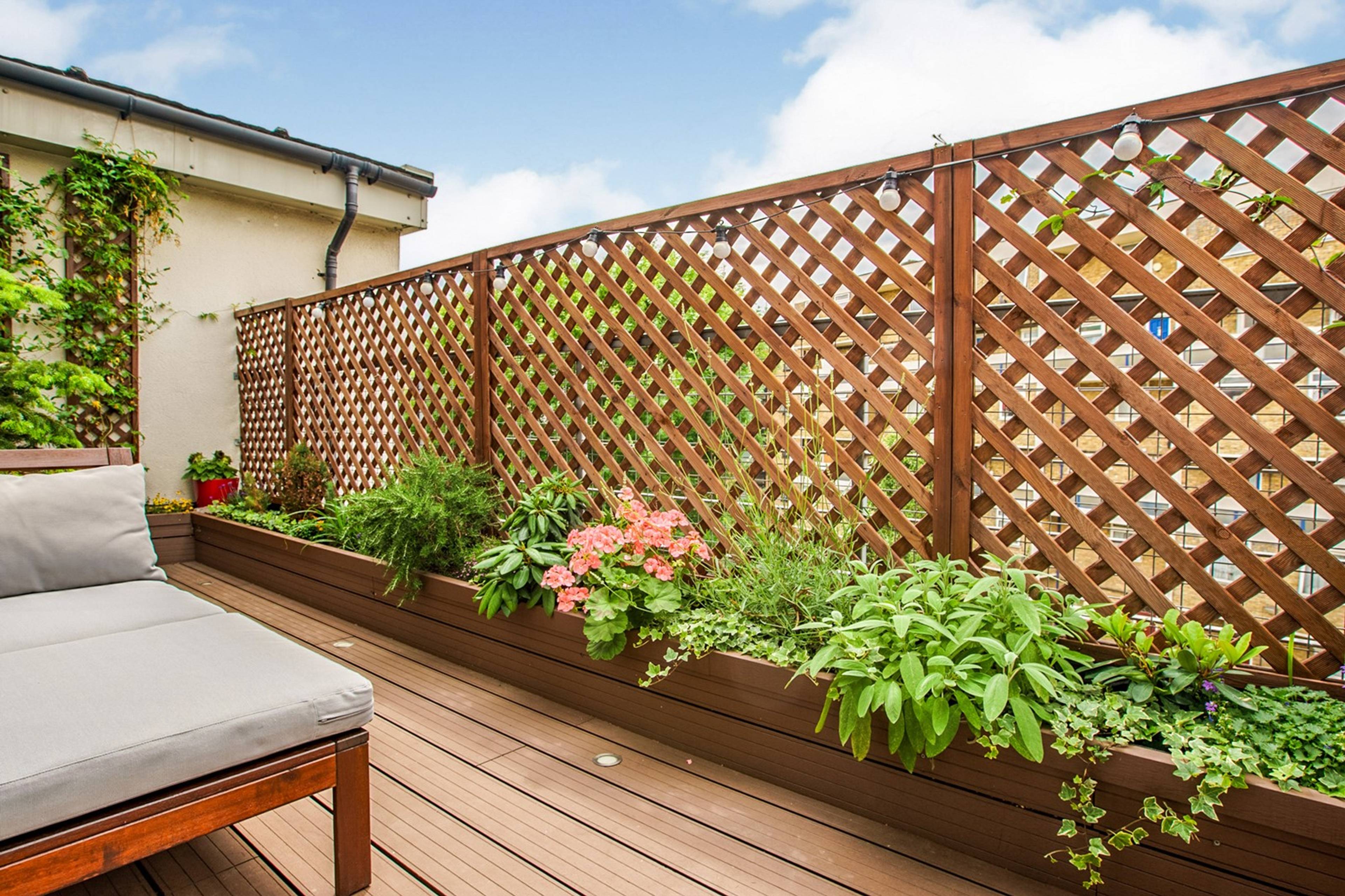 Sun Terrace