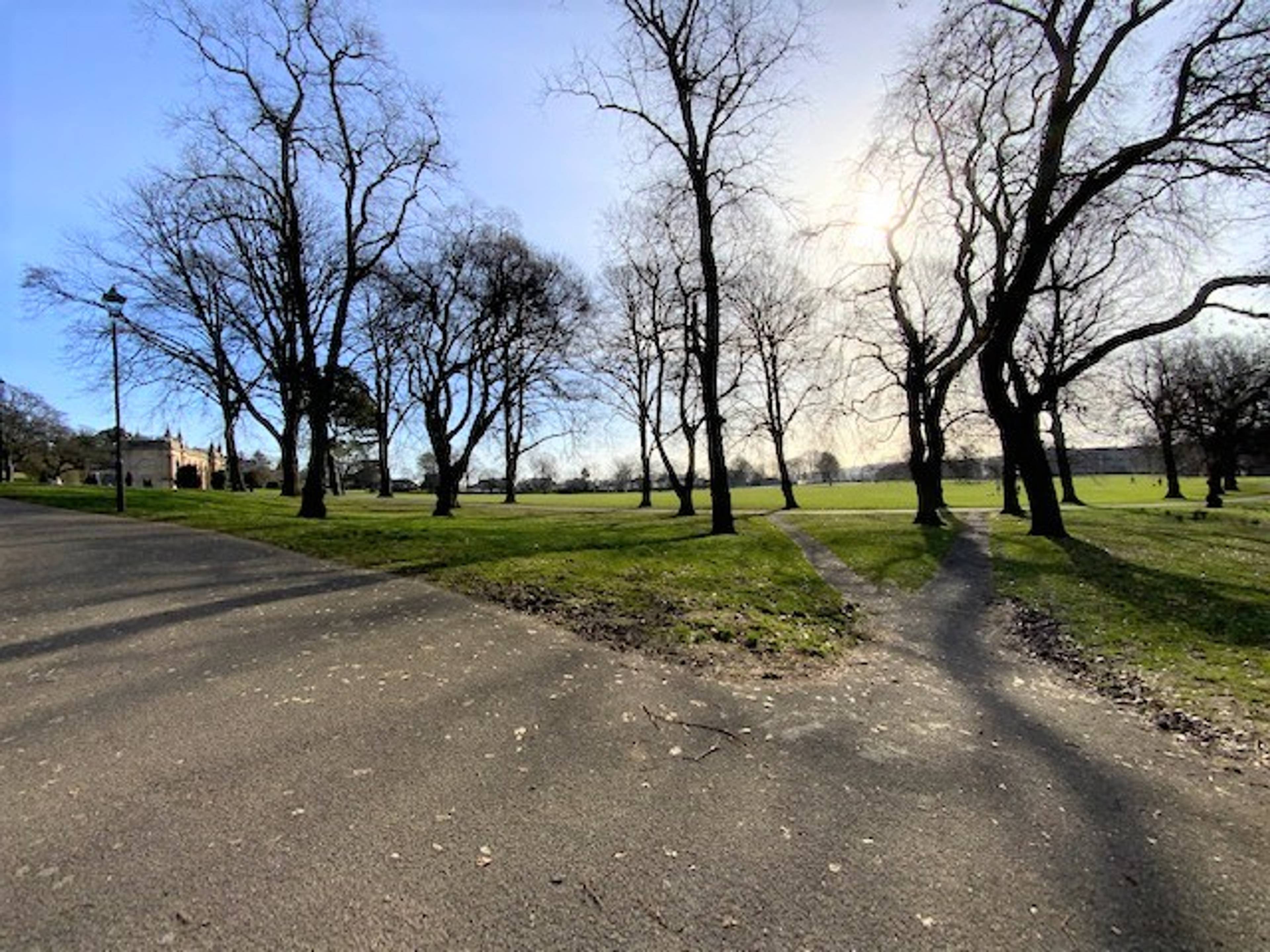 Local Area