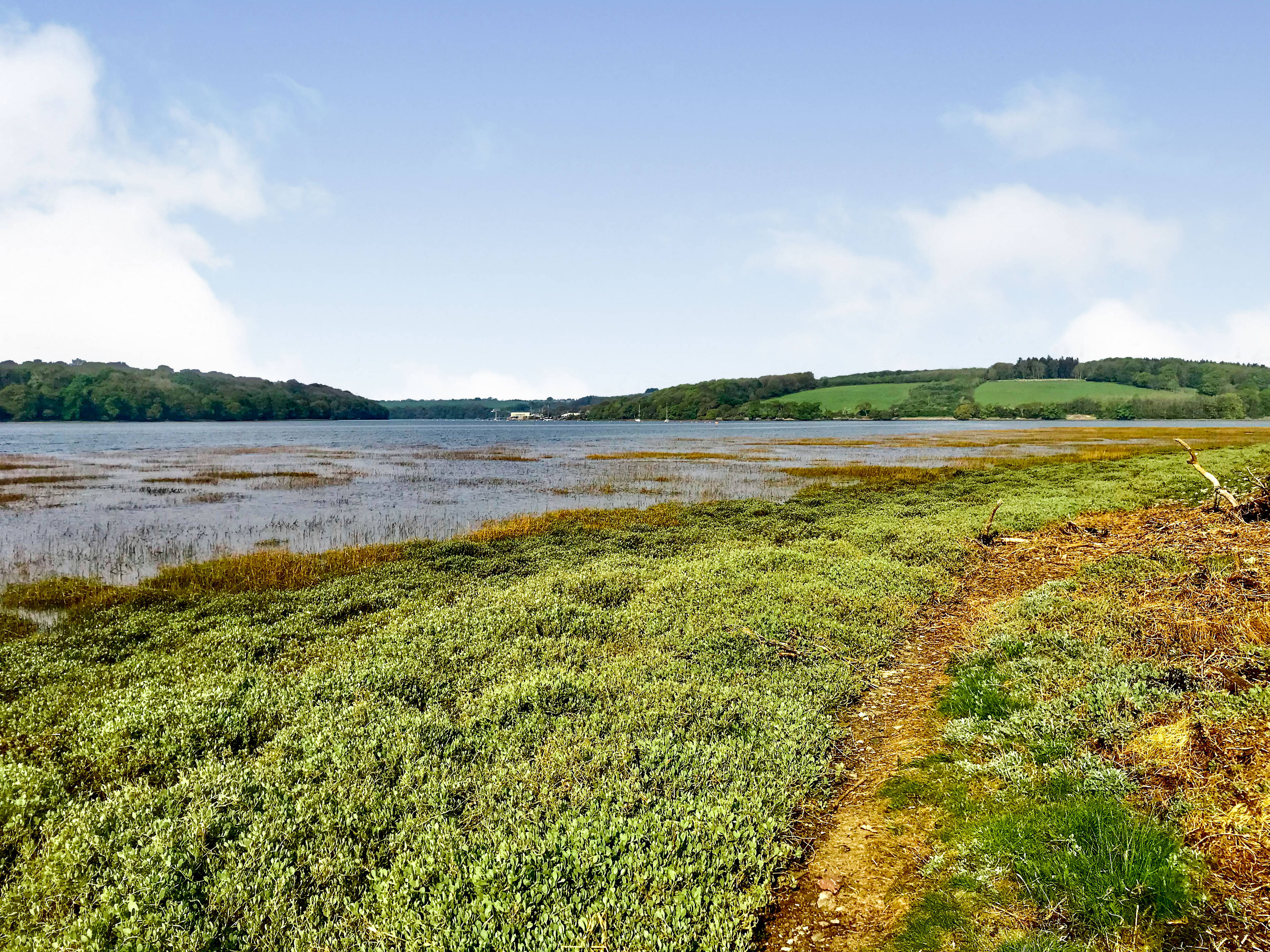 Nearby River