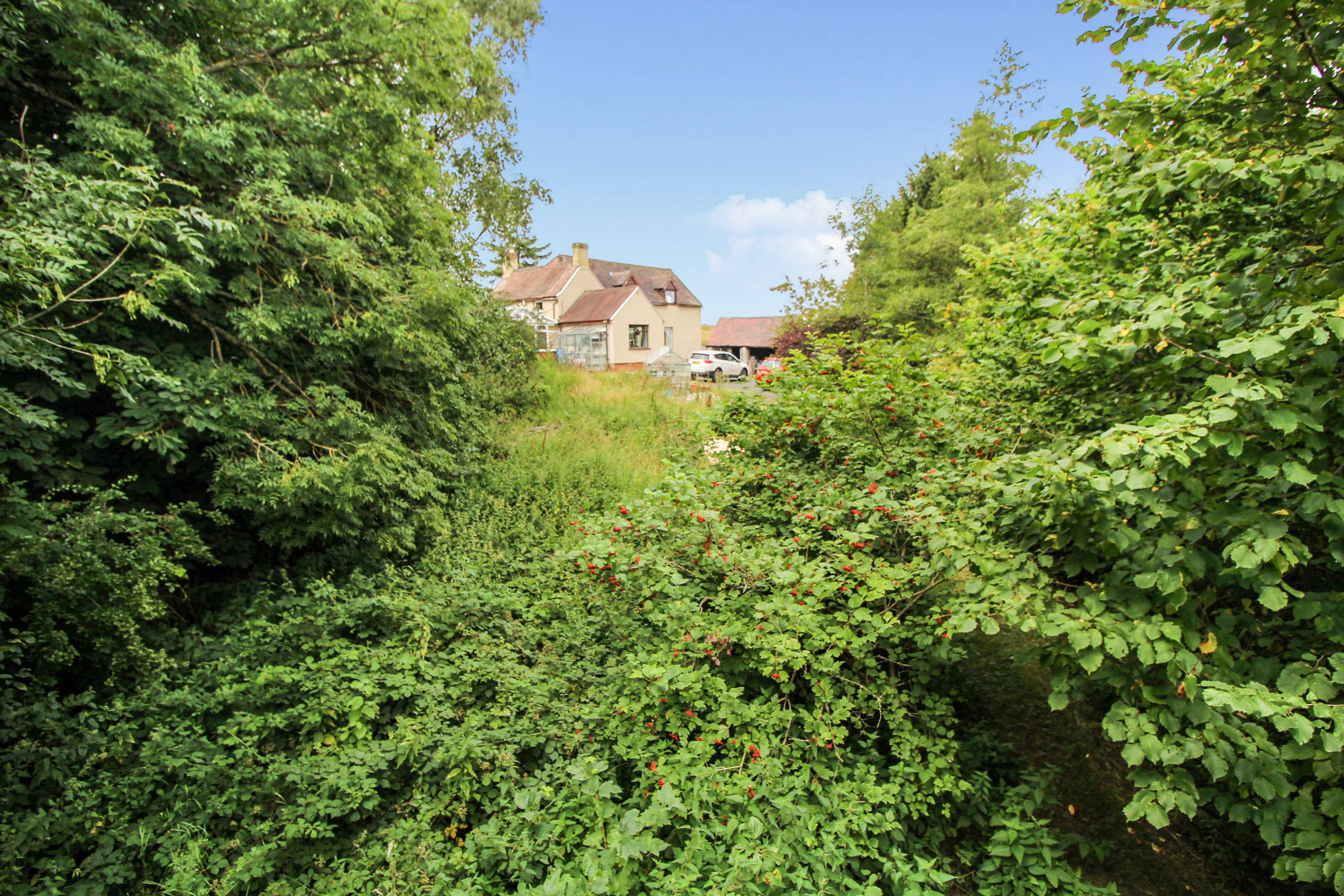 Grounds