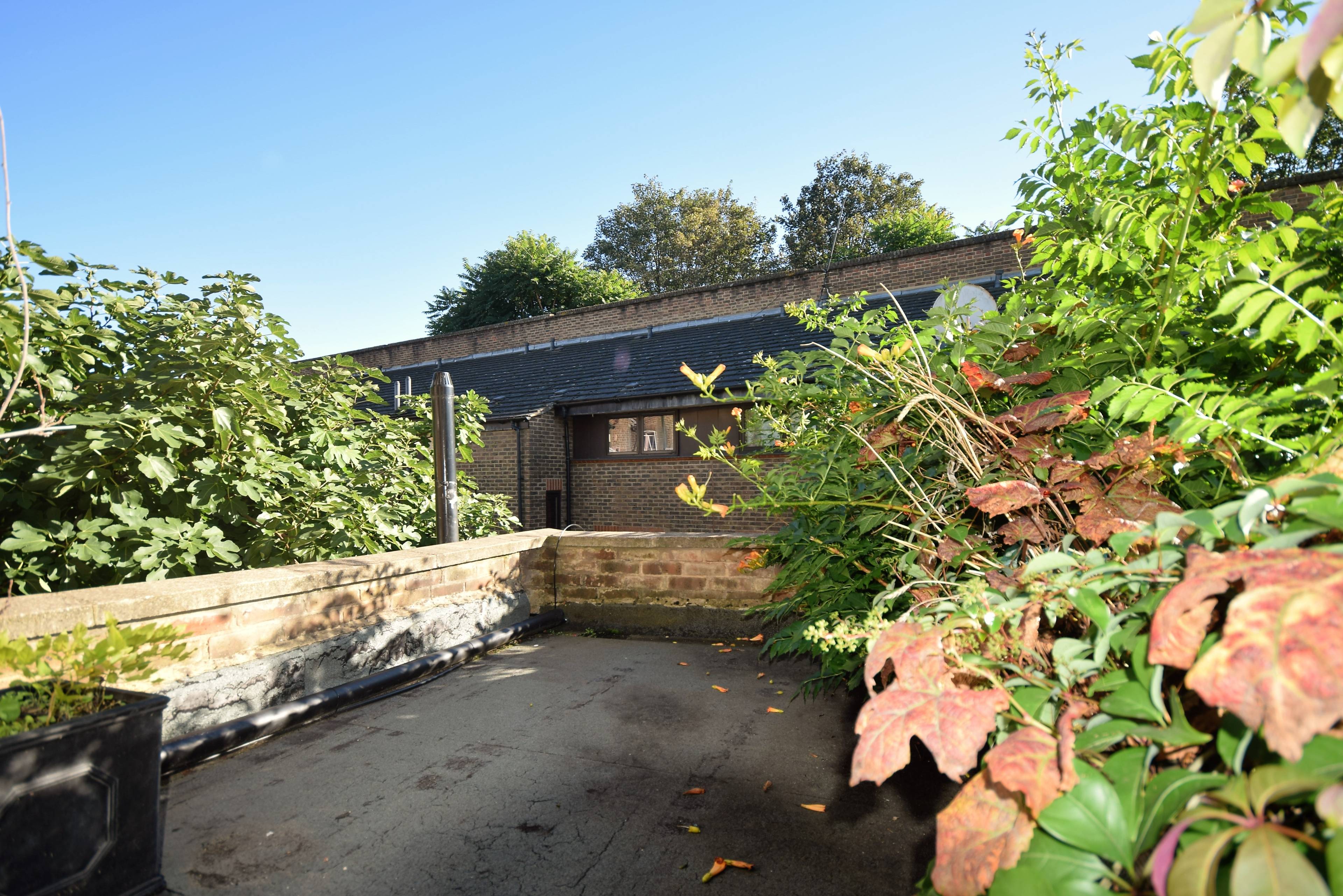 Roof Terrace