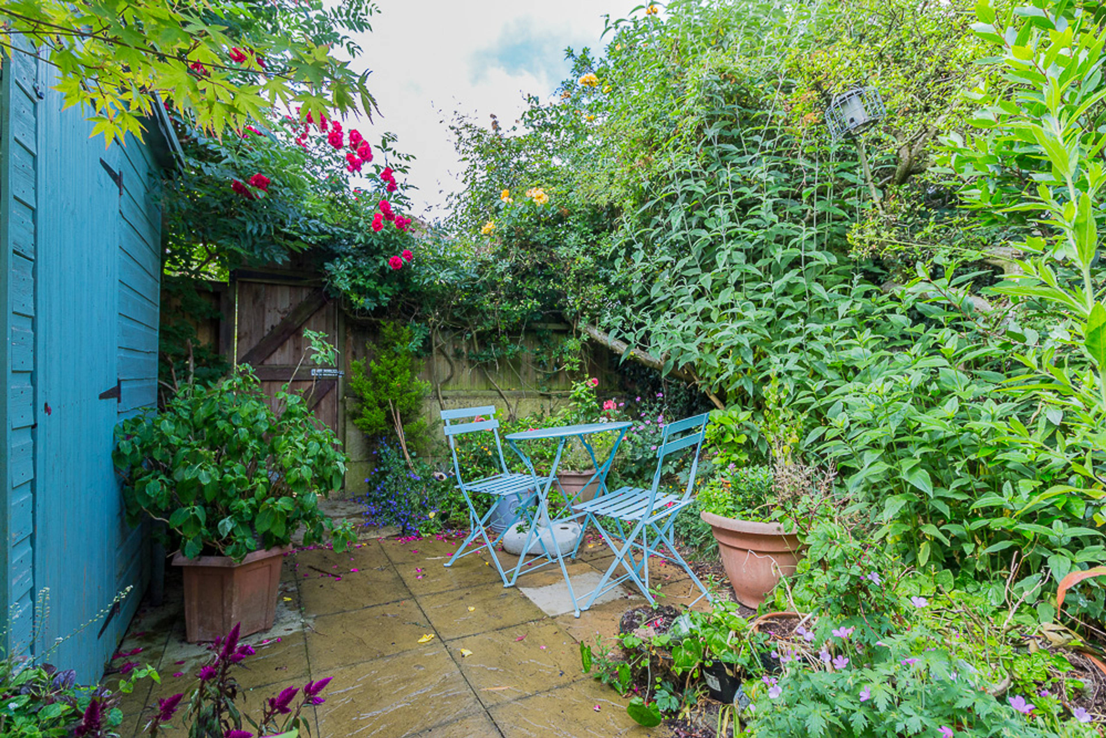 Garden